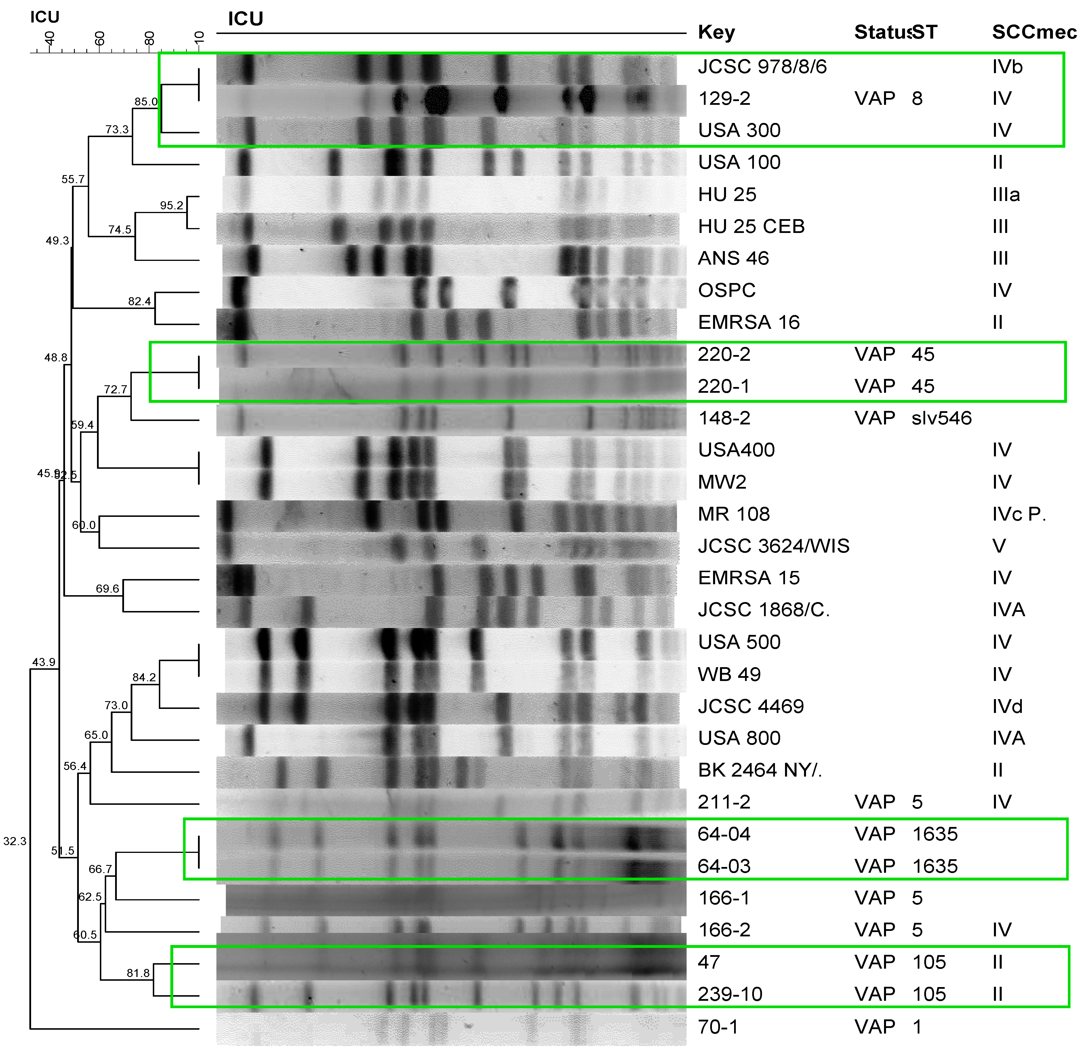 Antibiotics 12 01336 g001