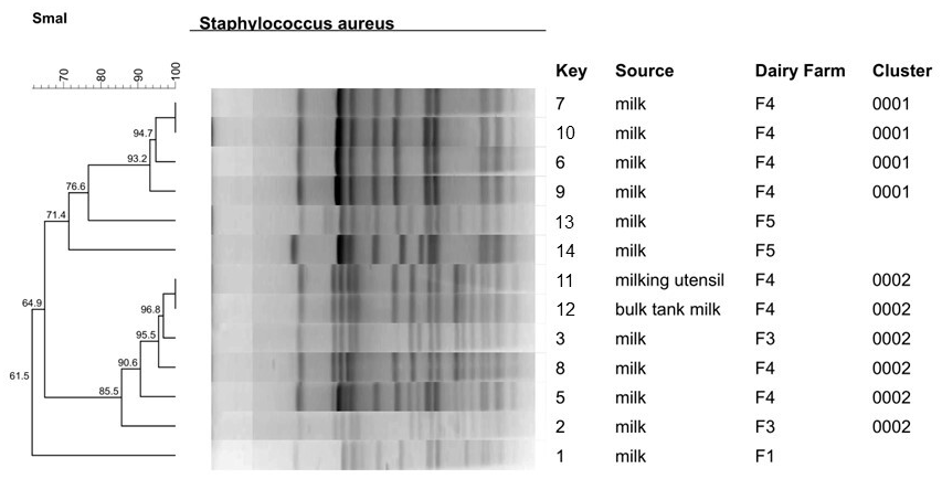 Antibiotics 12 01353 g001