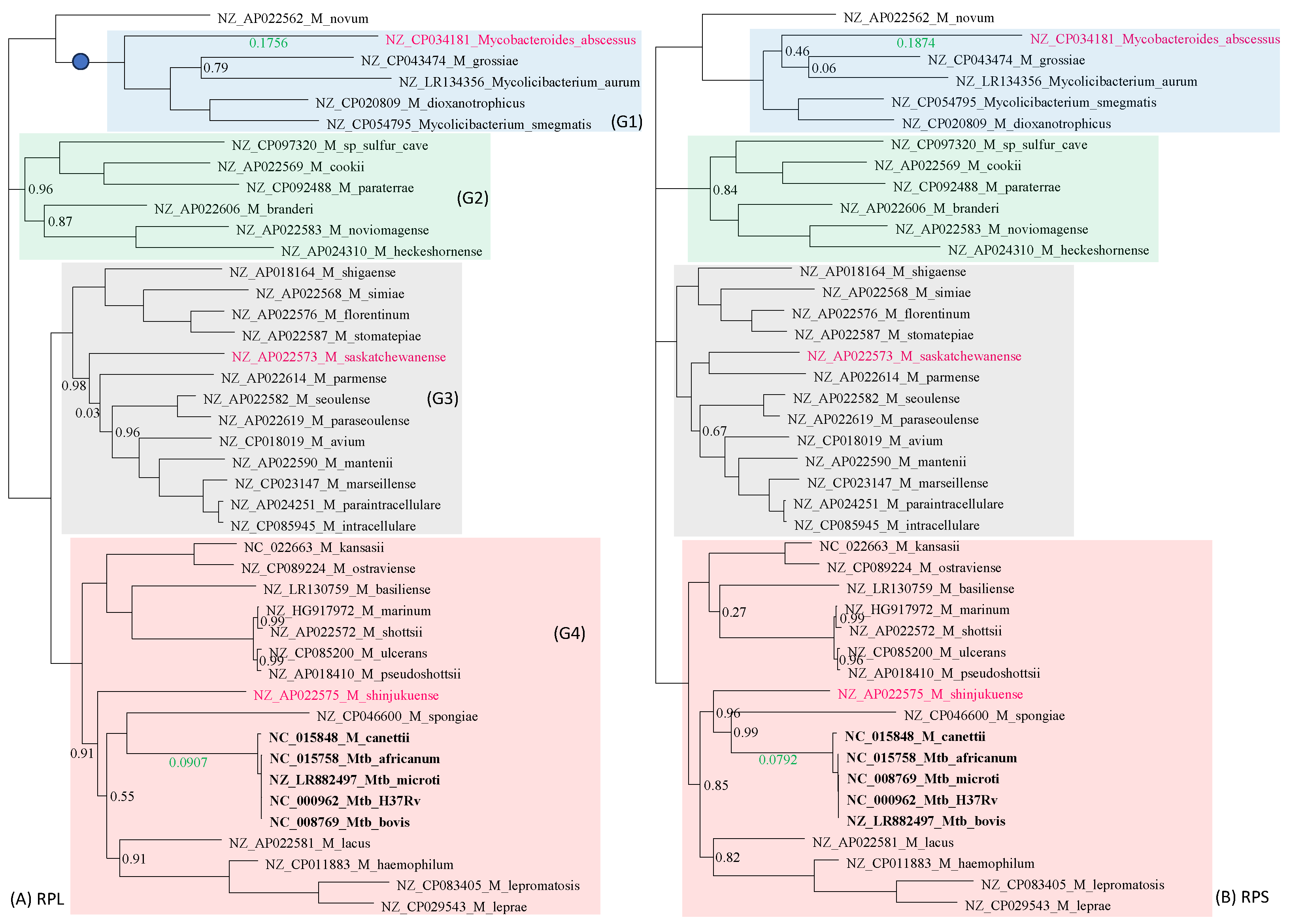 Antibiotics 12 01367 g002