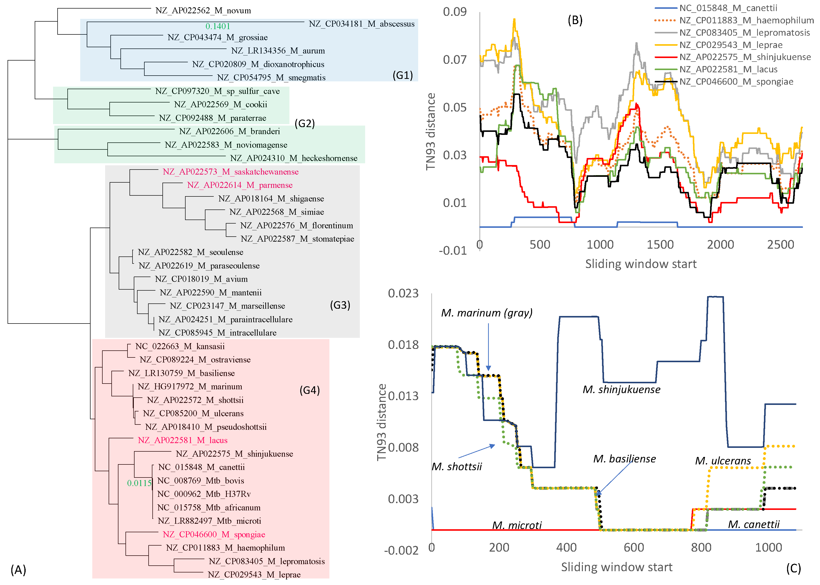 Antibiotics 12 01367 g004