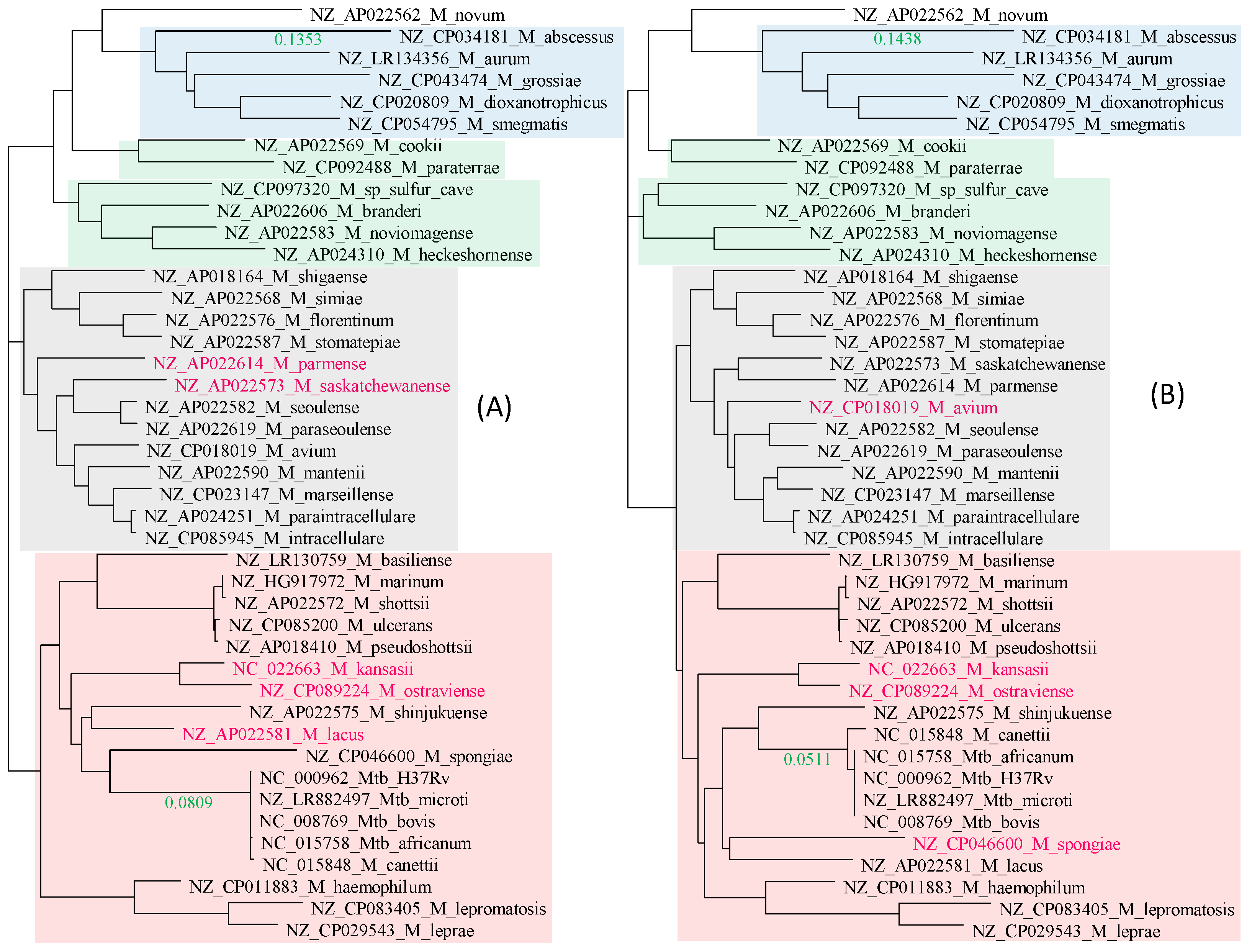 Antibiotics 12 01367 g005