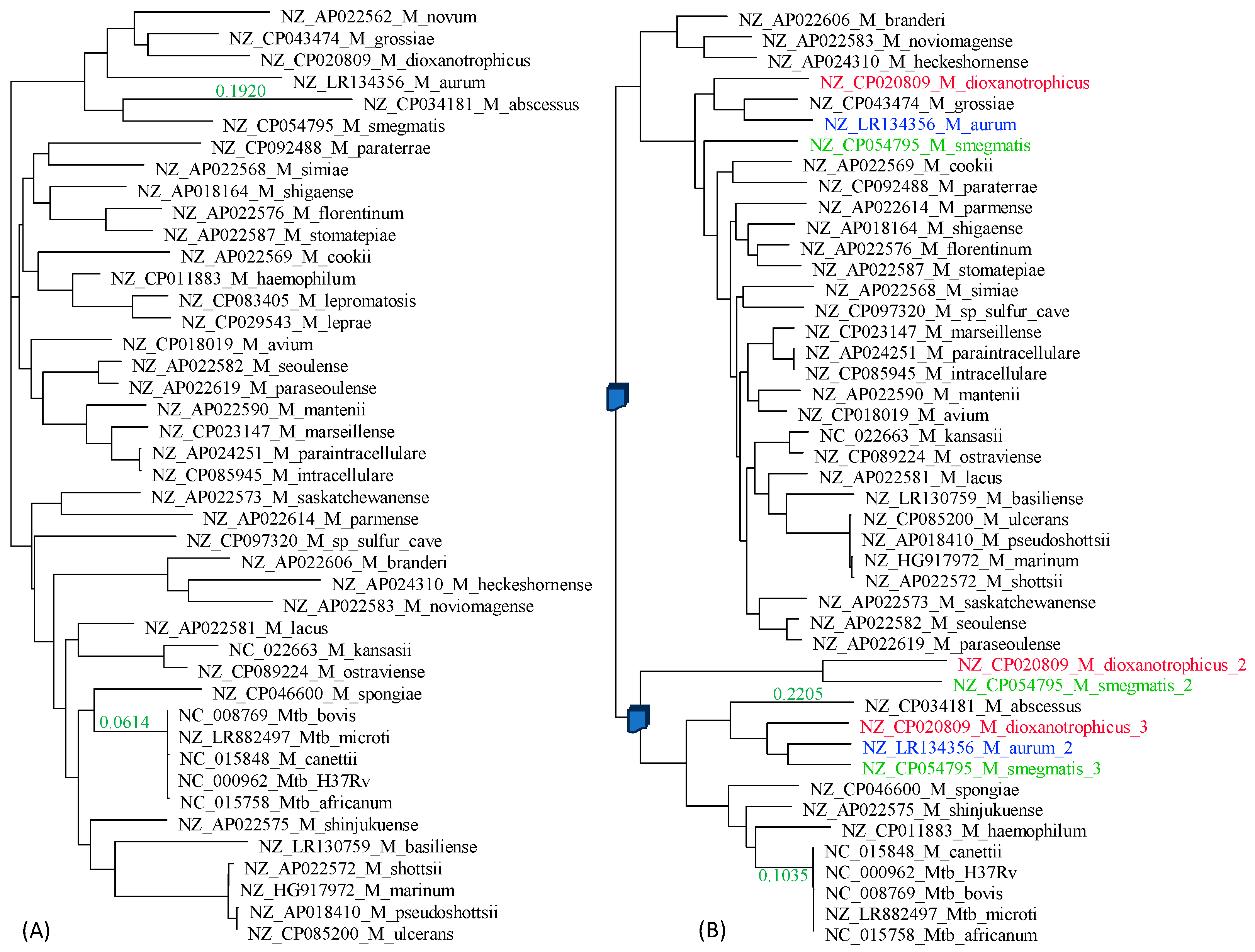 Antibiotics 12 01367 g007