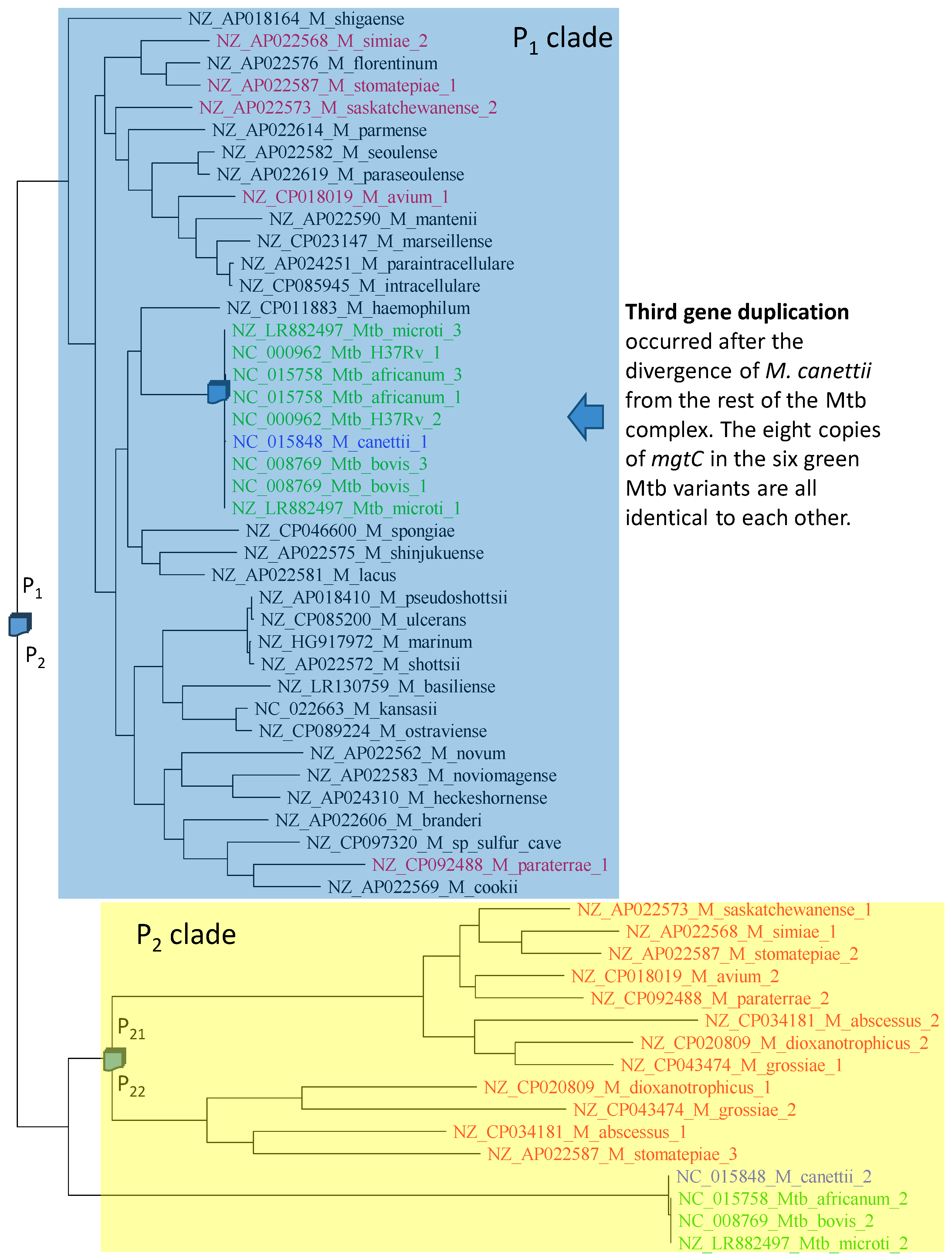 Antibiotics 12 01367 g008