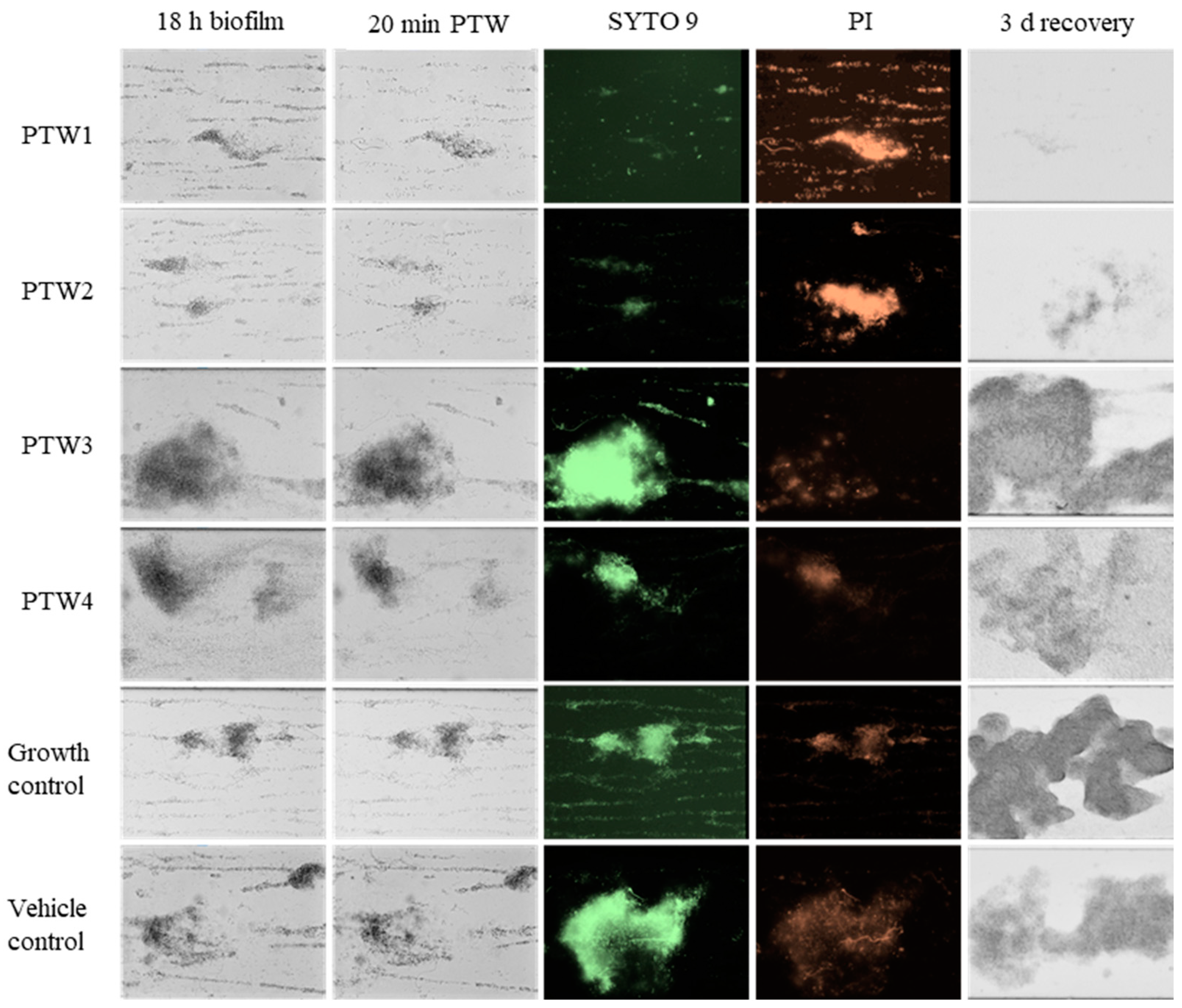 Antibiotics 12 01371 g005