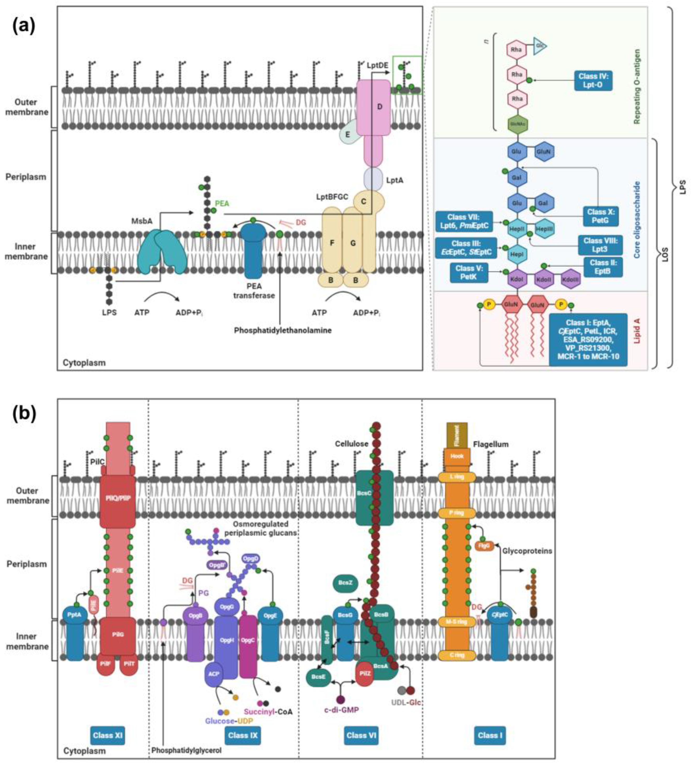 Antibiotics 12 01382 g002