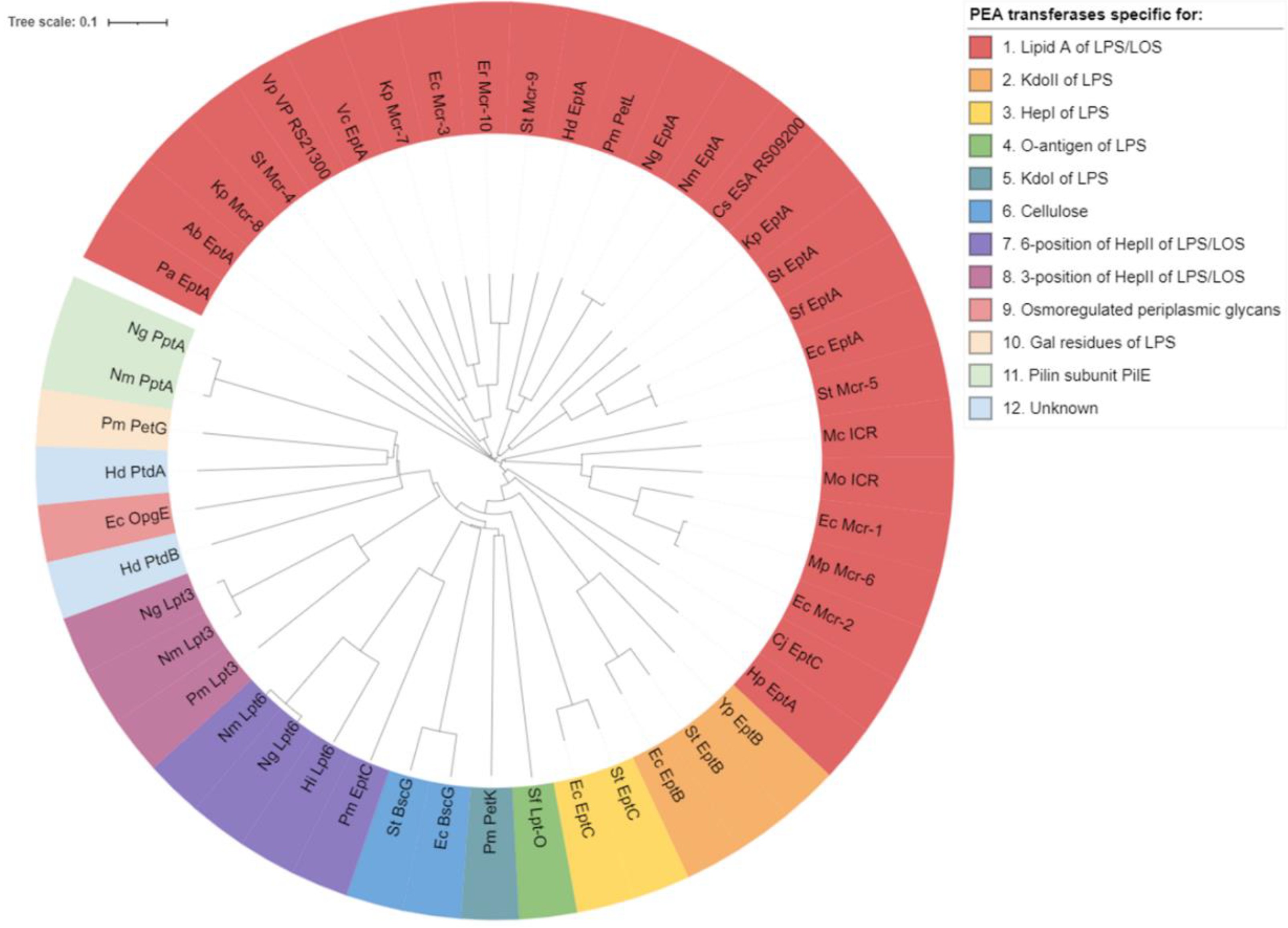 Antibiotics 12 01382 g003