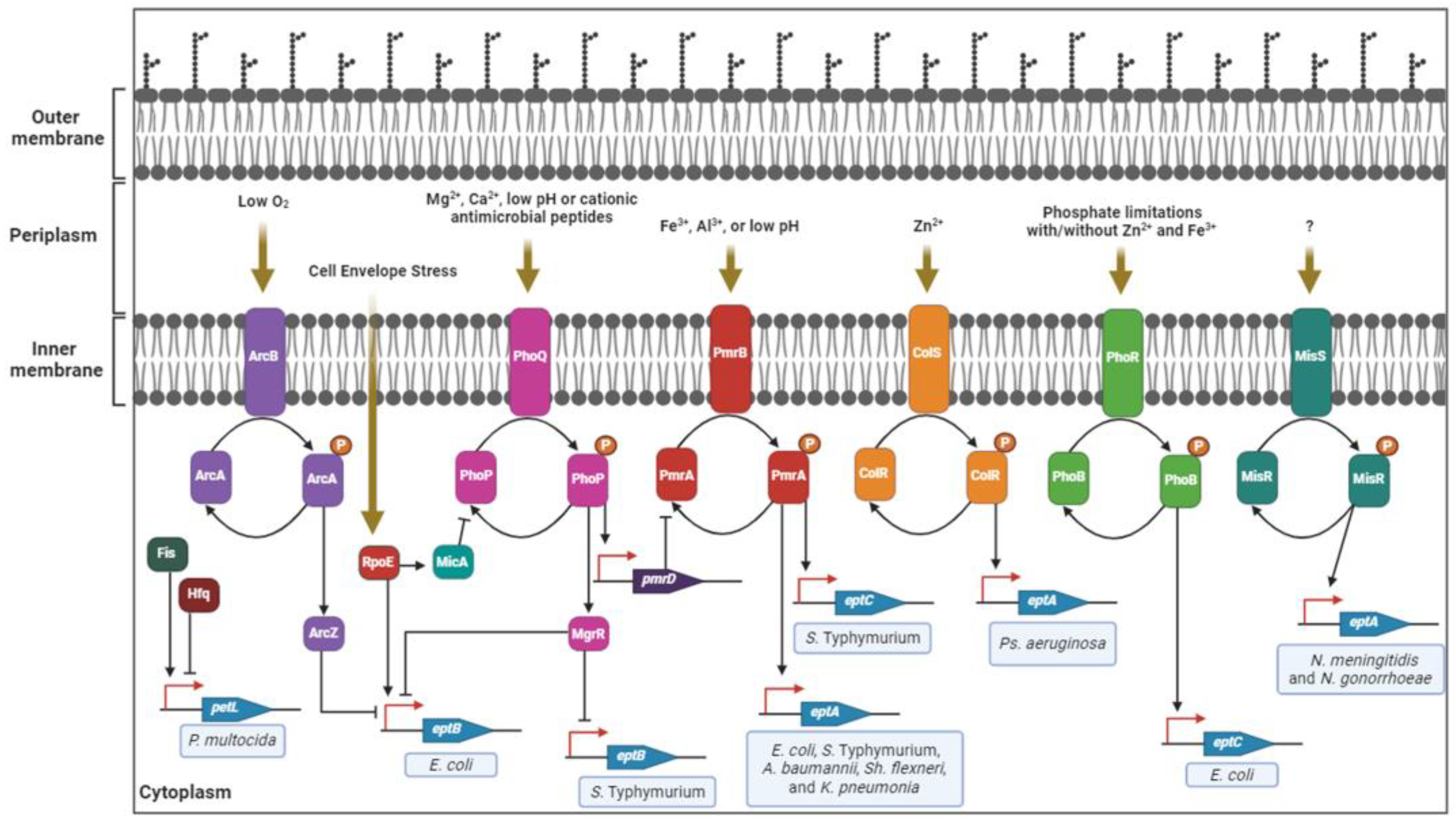 Antibiotics 12 01382 g004