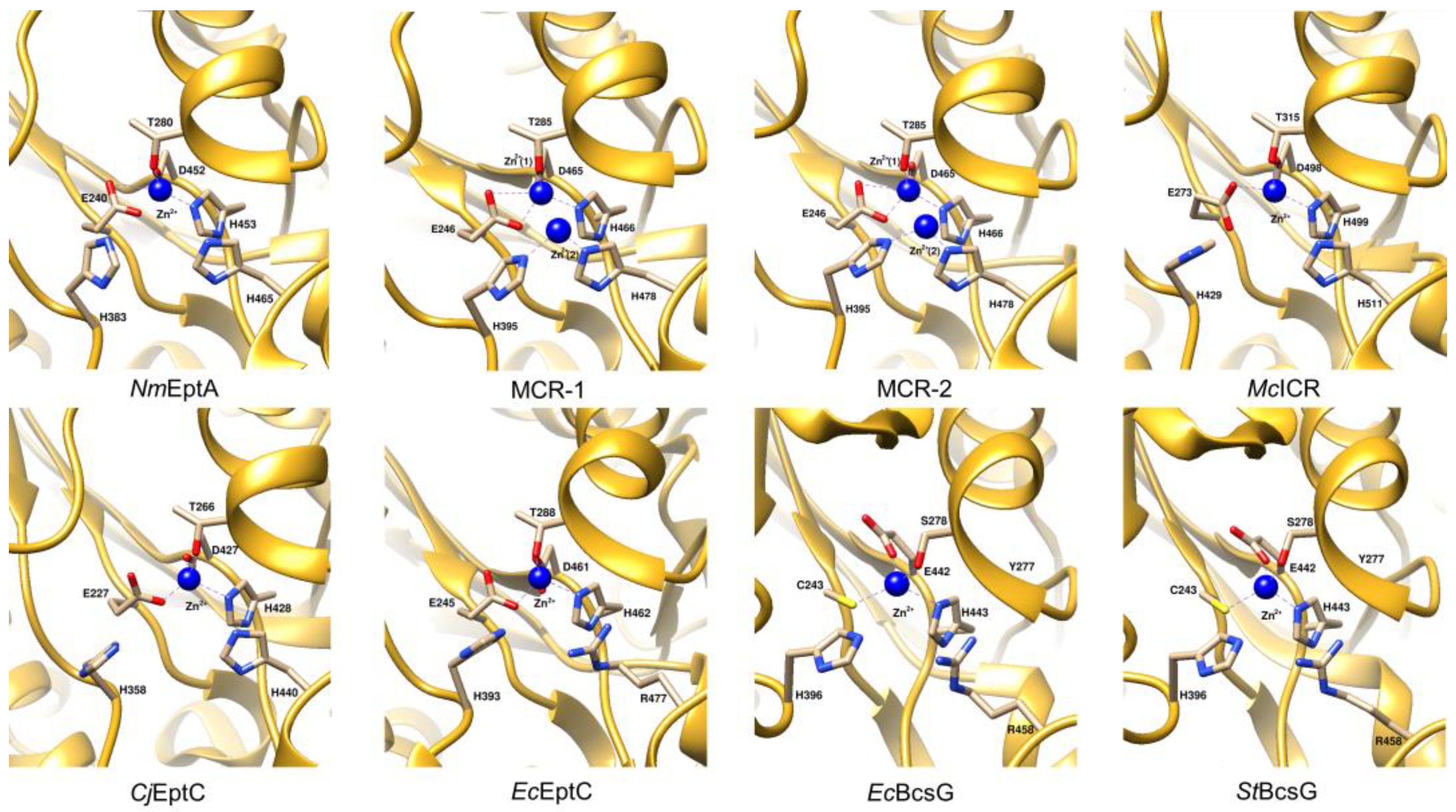 Antibiotics 12 01382 g006