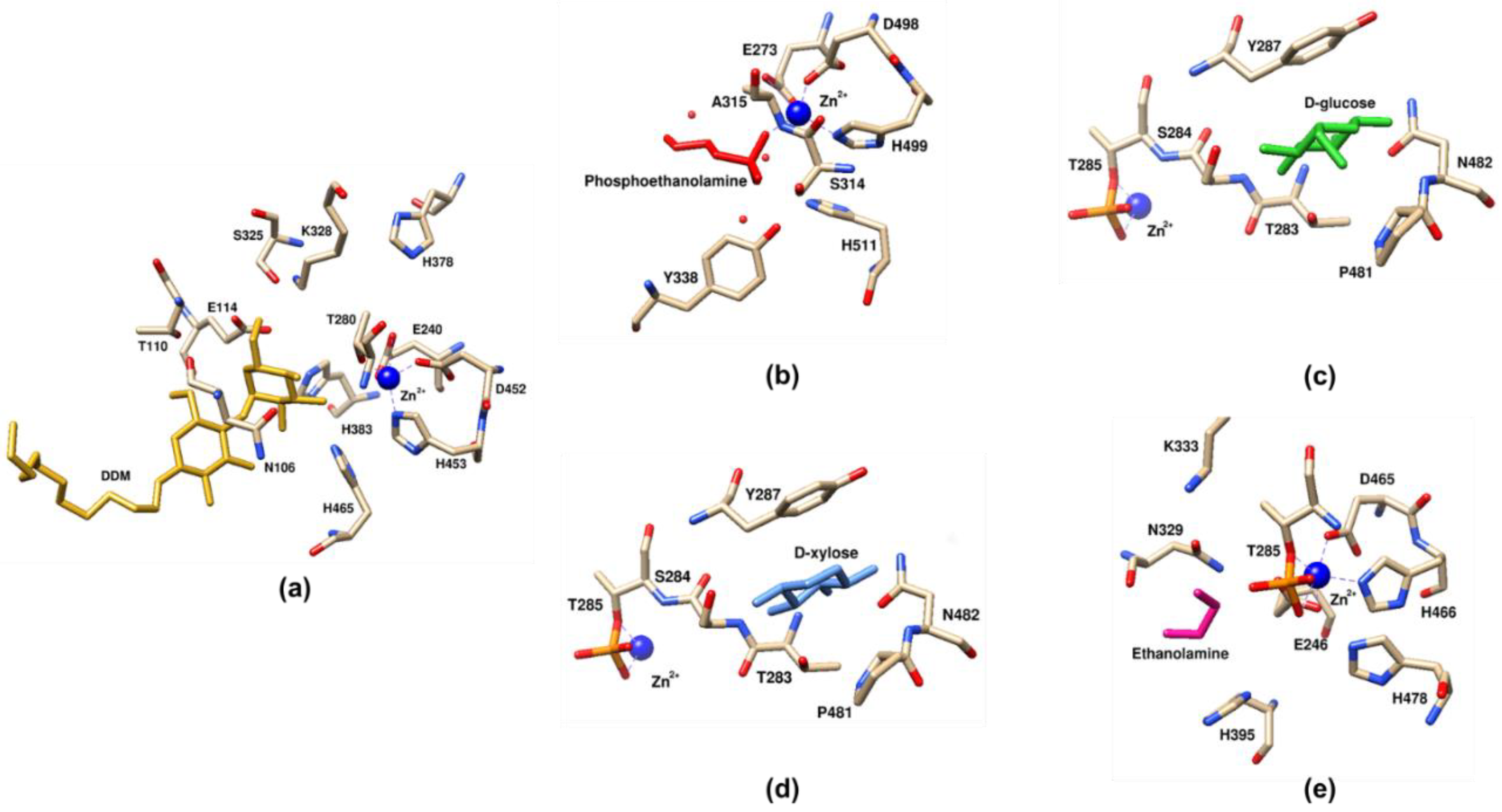 Antibiotics 12 01382 g008