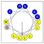 Antibiotics 12 01396 i010