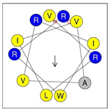 Antibiotics 12 01396 i012
