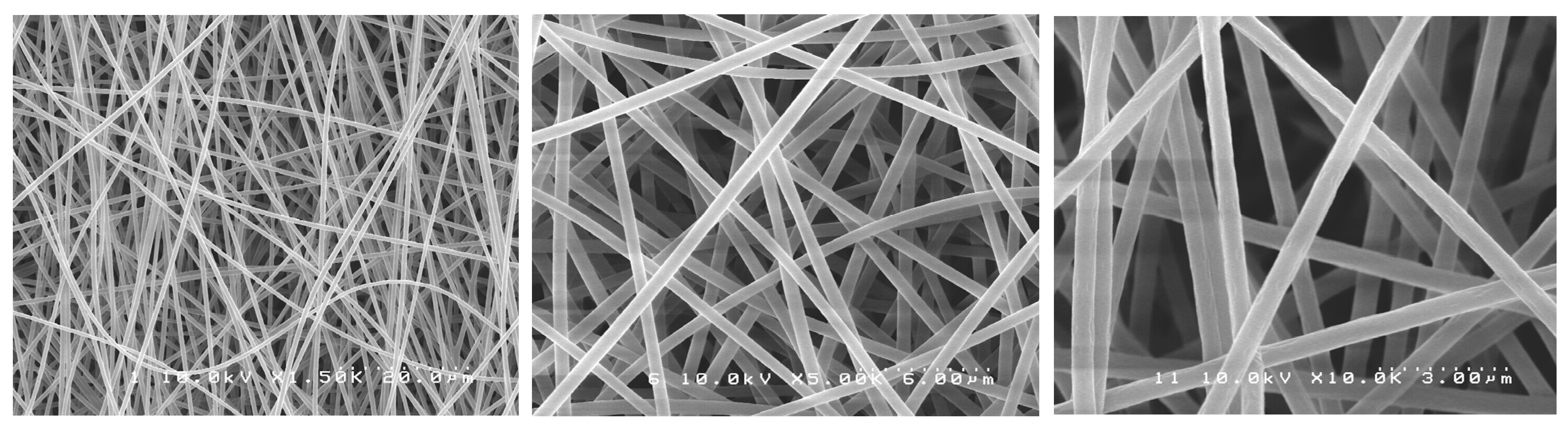 Antibiotics 12 01414 g001