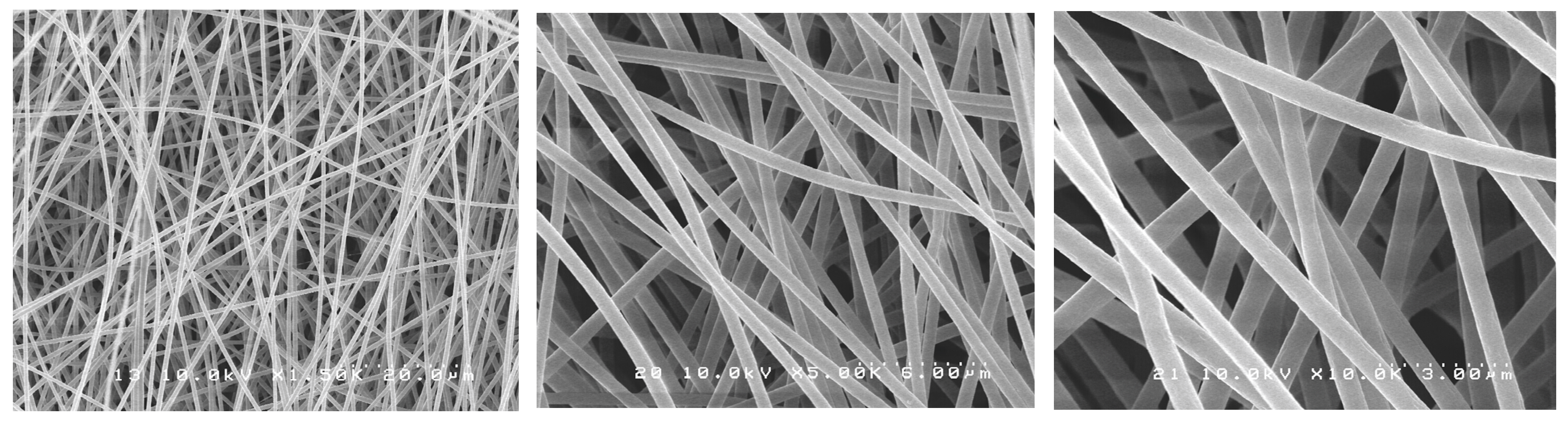 Antibiotics 12 01414 g002