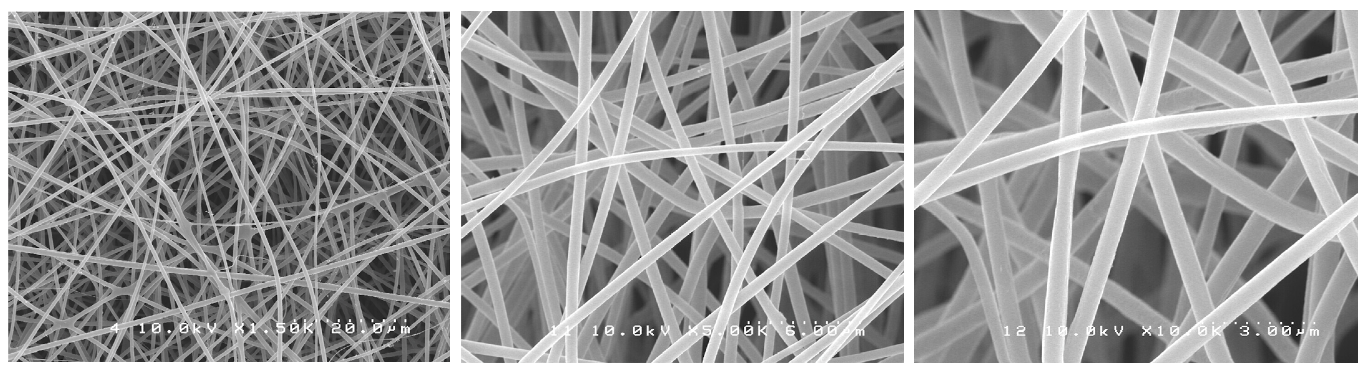 Antibiotics 12 01414 g003