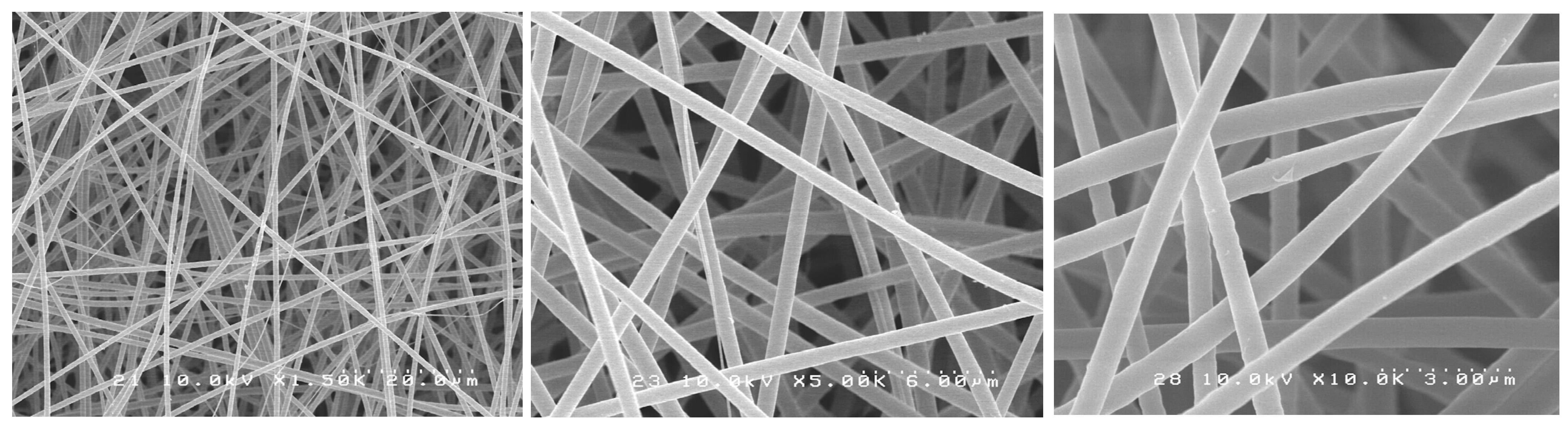 Antibiotics 12 01414 g004