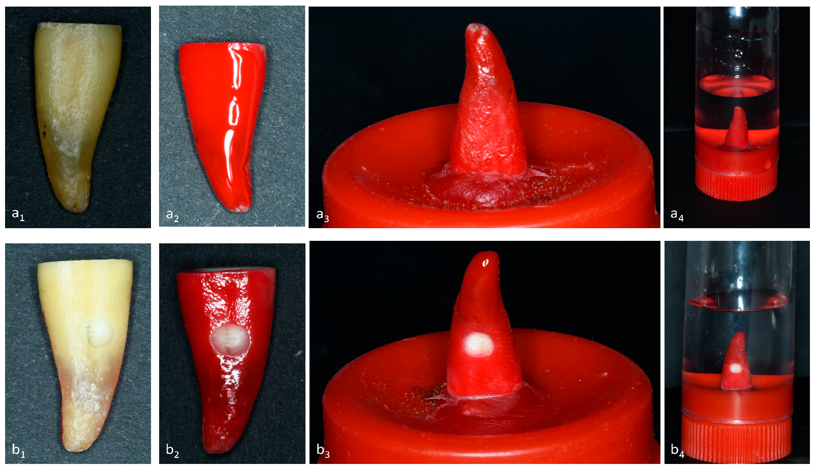 Antibiotics 12 01416 g009