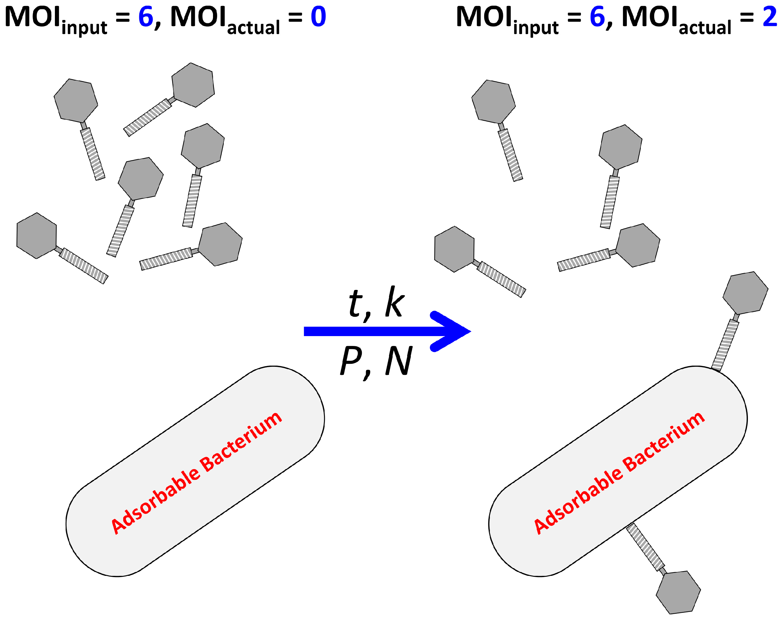 Antibiotics 12 01423 g001