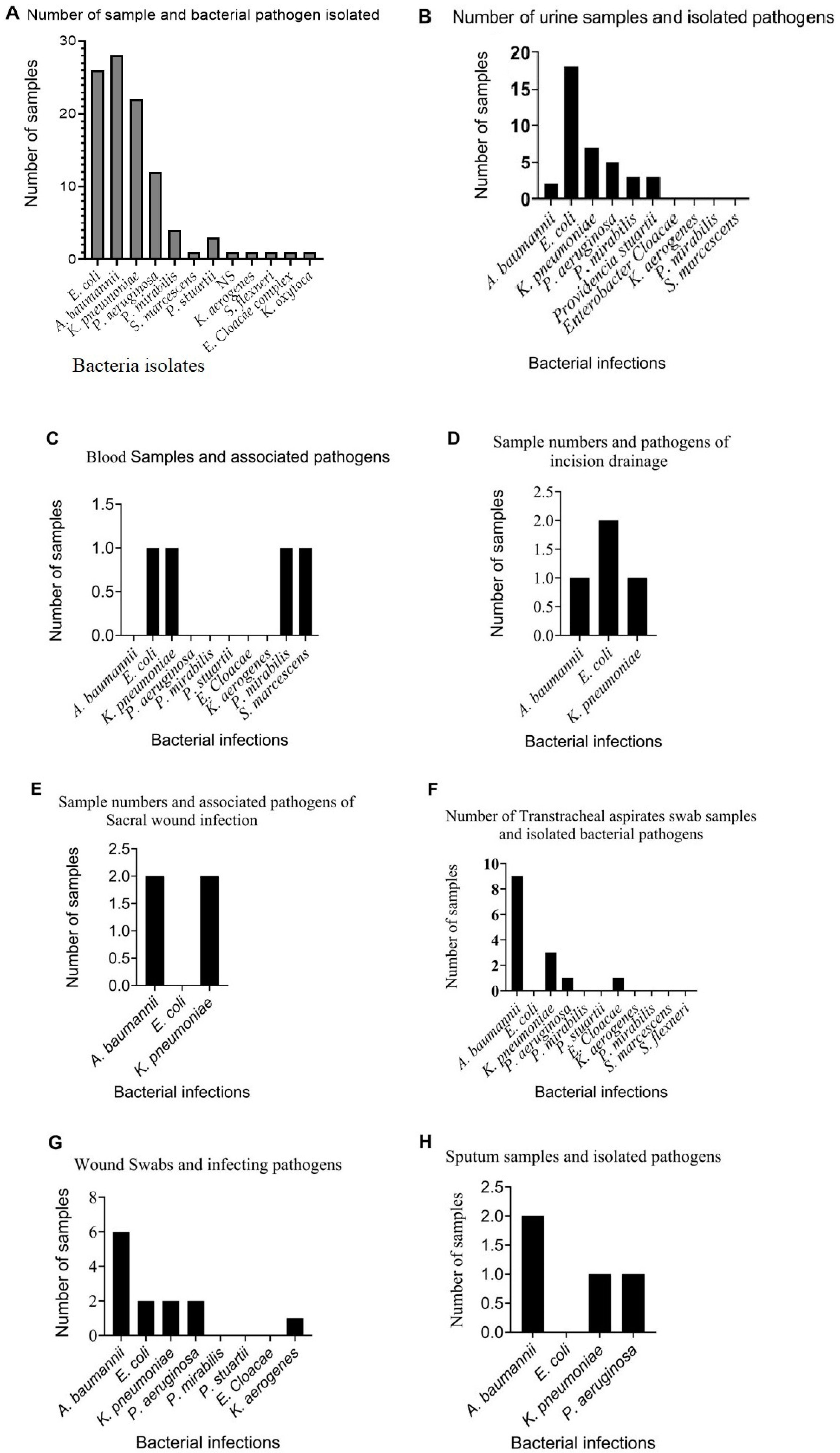 Antibiotics 12 01425 g001