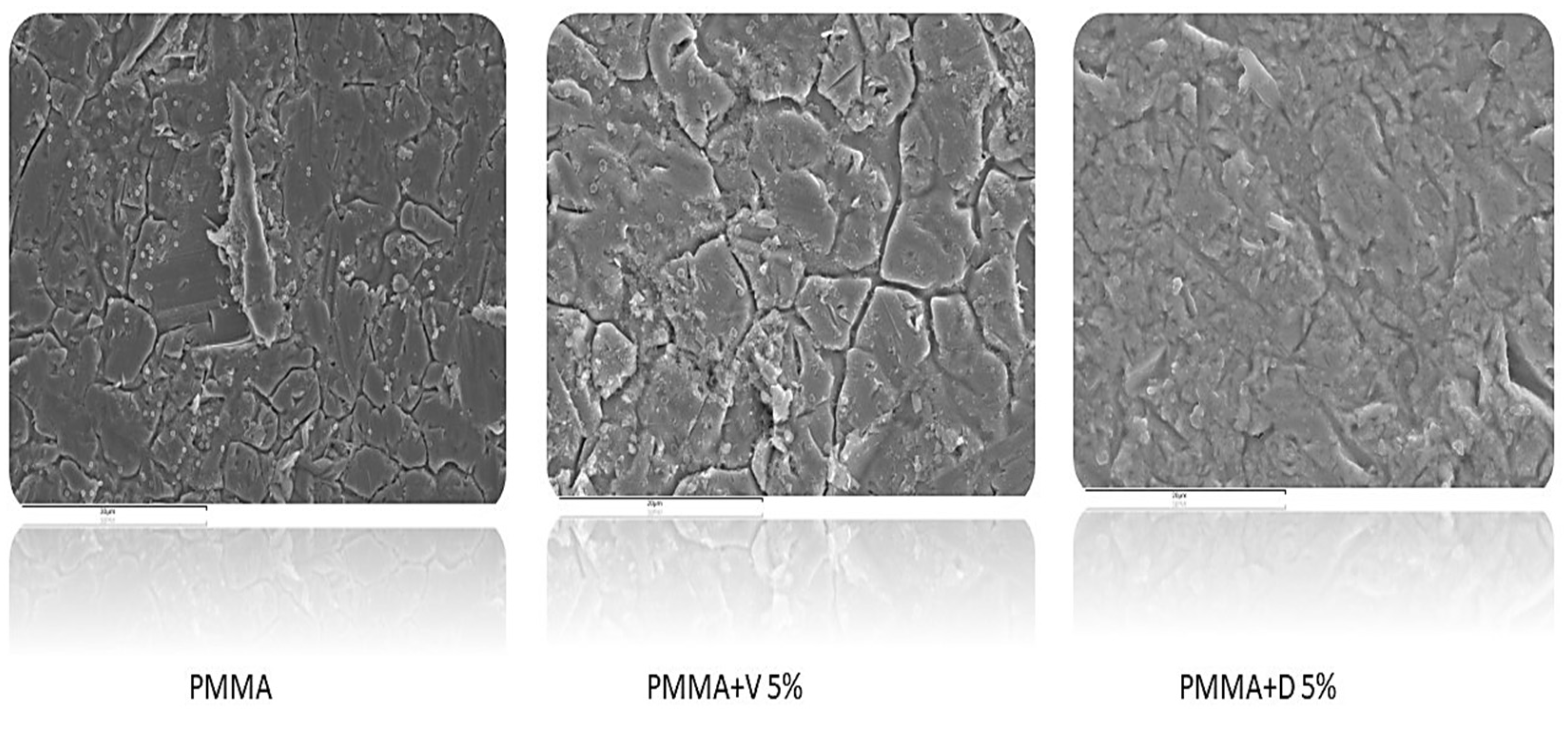 Antibiotics 12 01445 g004