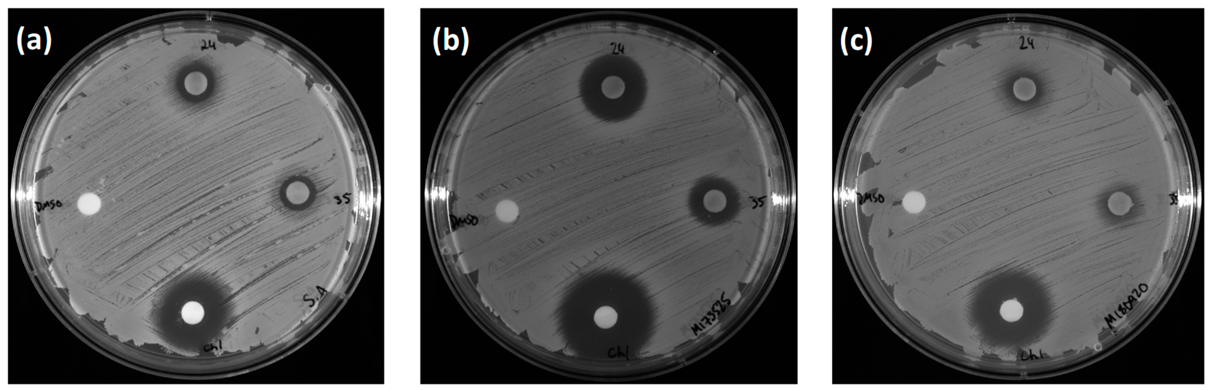 Antibiotics 12 01459 g001