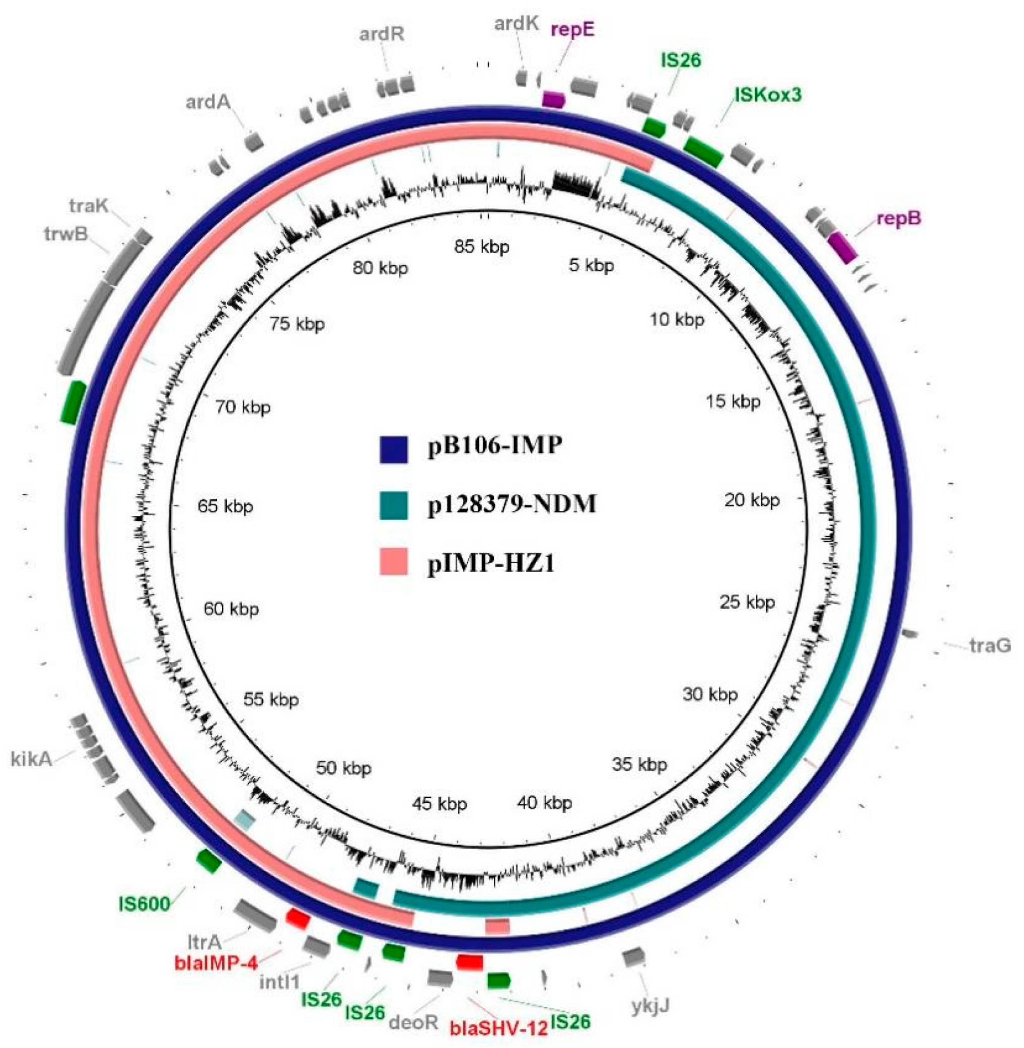 Antibiotics 12 01463 g002
