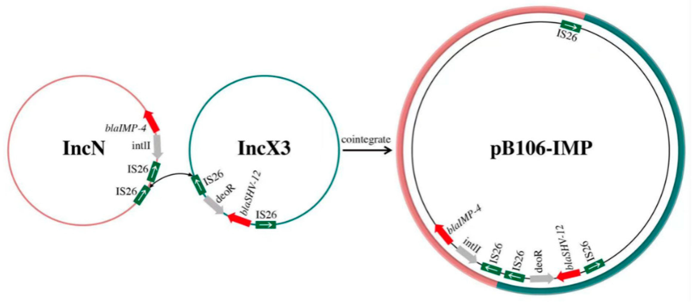 Antibiotics 12 01463 g003