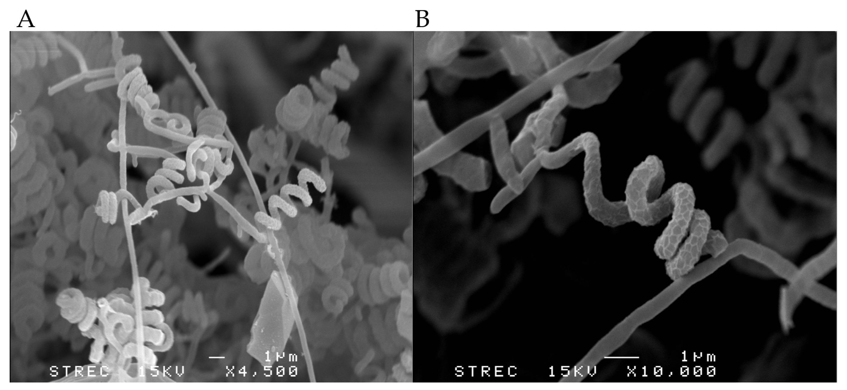 Antibiotics 12 01467 g003