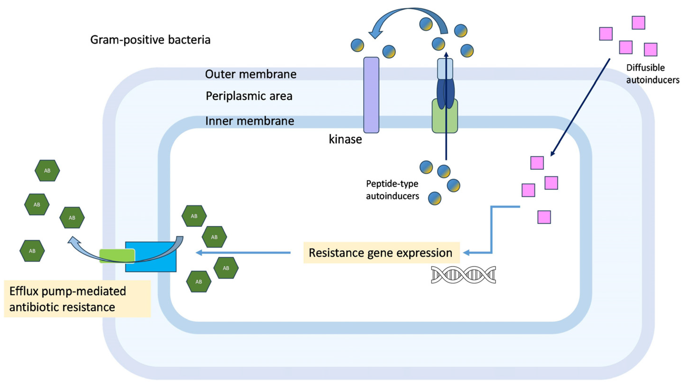 Antibiotics 12 01468 g003