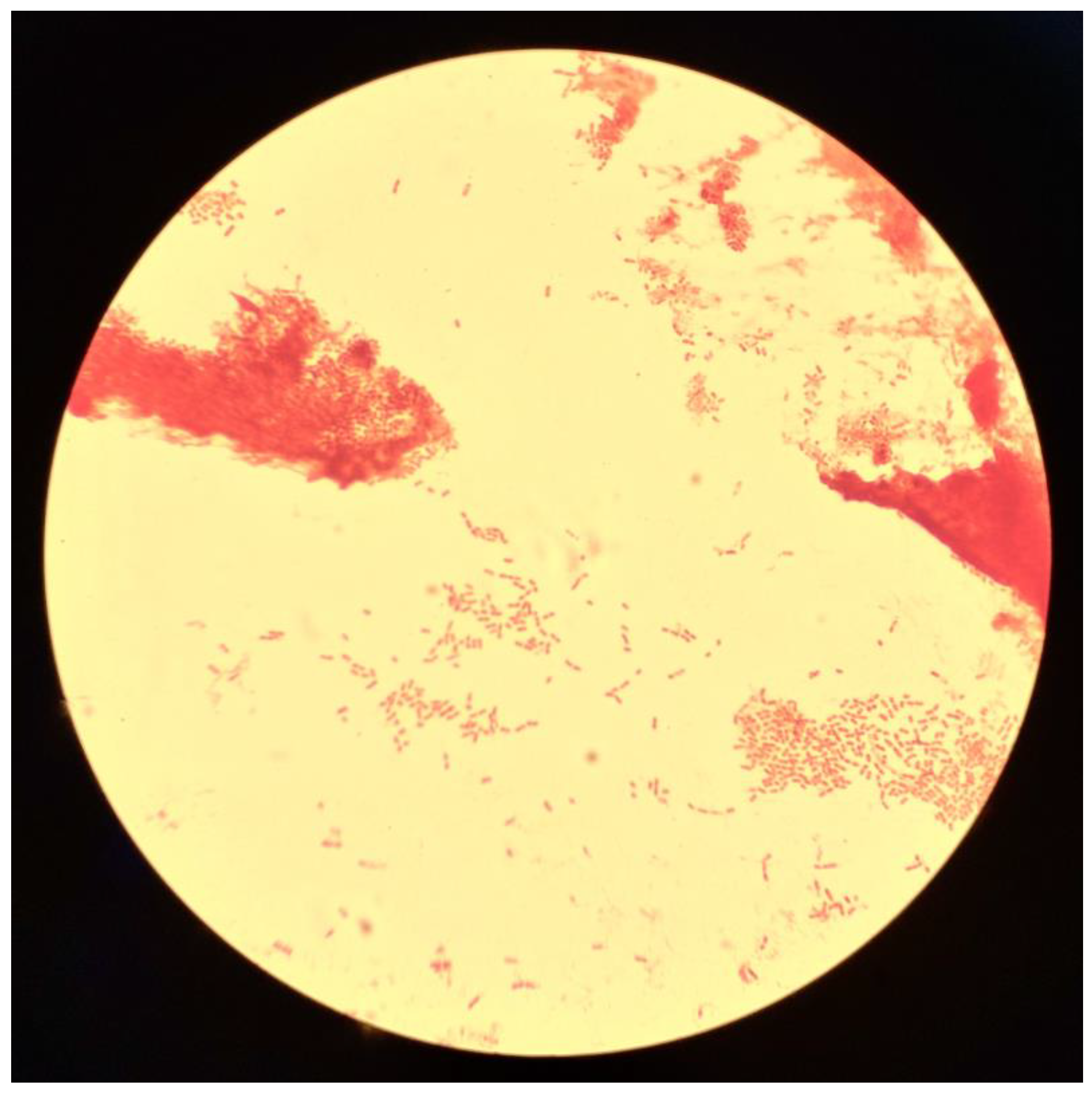 Antibiotics 12 01470 g002