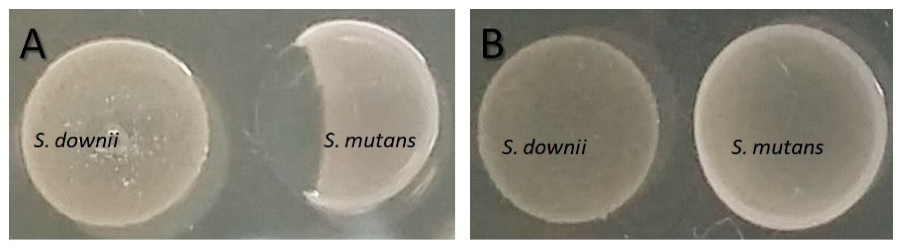 Antibiotics 12 01472 g001 Antibiotics 12 01472 g001