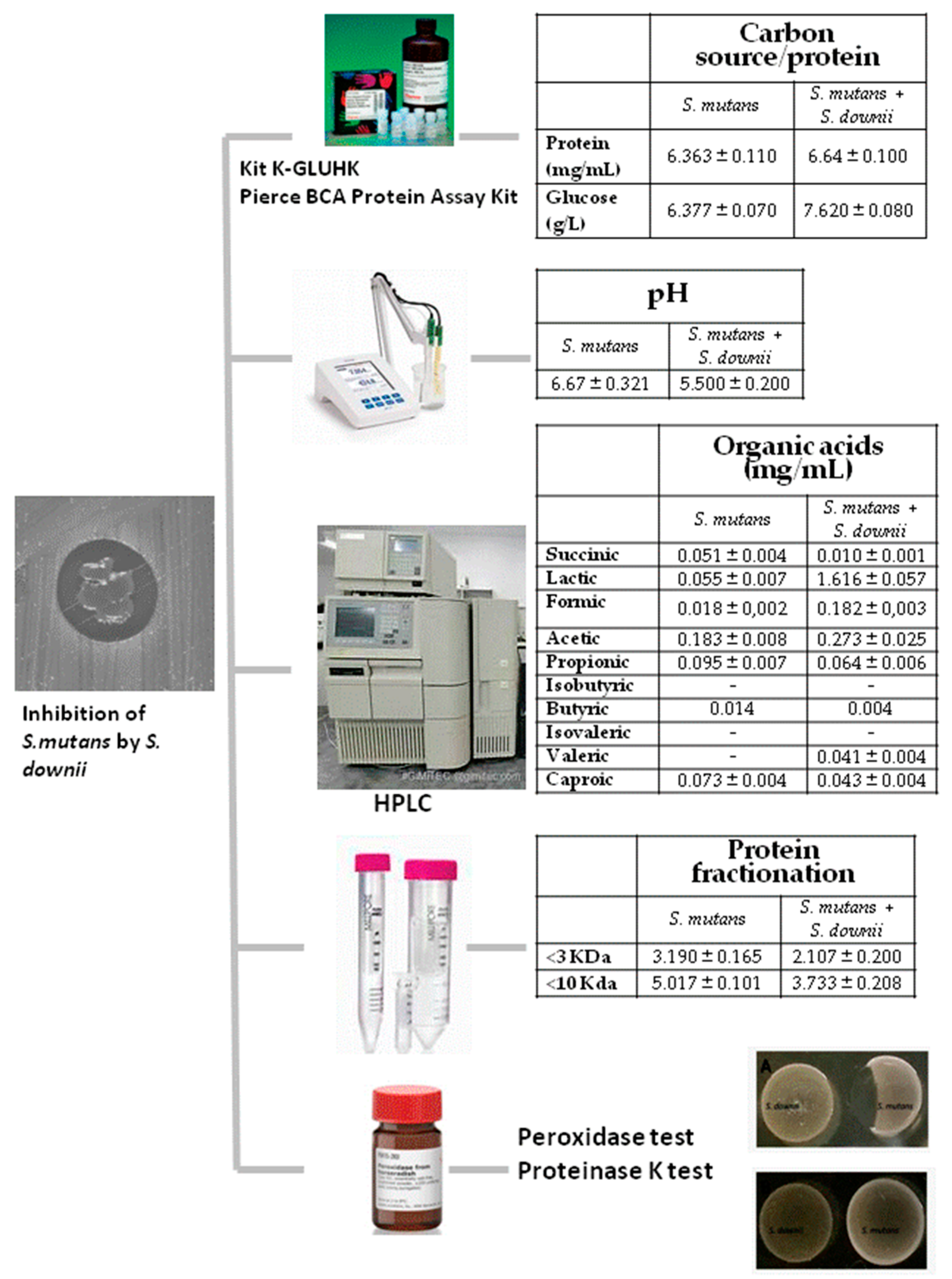 Antibiotics 12 01472 g003 Antibiotics 12 01472 g003