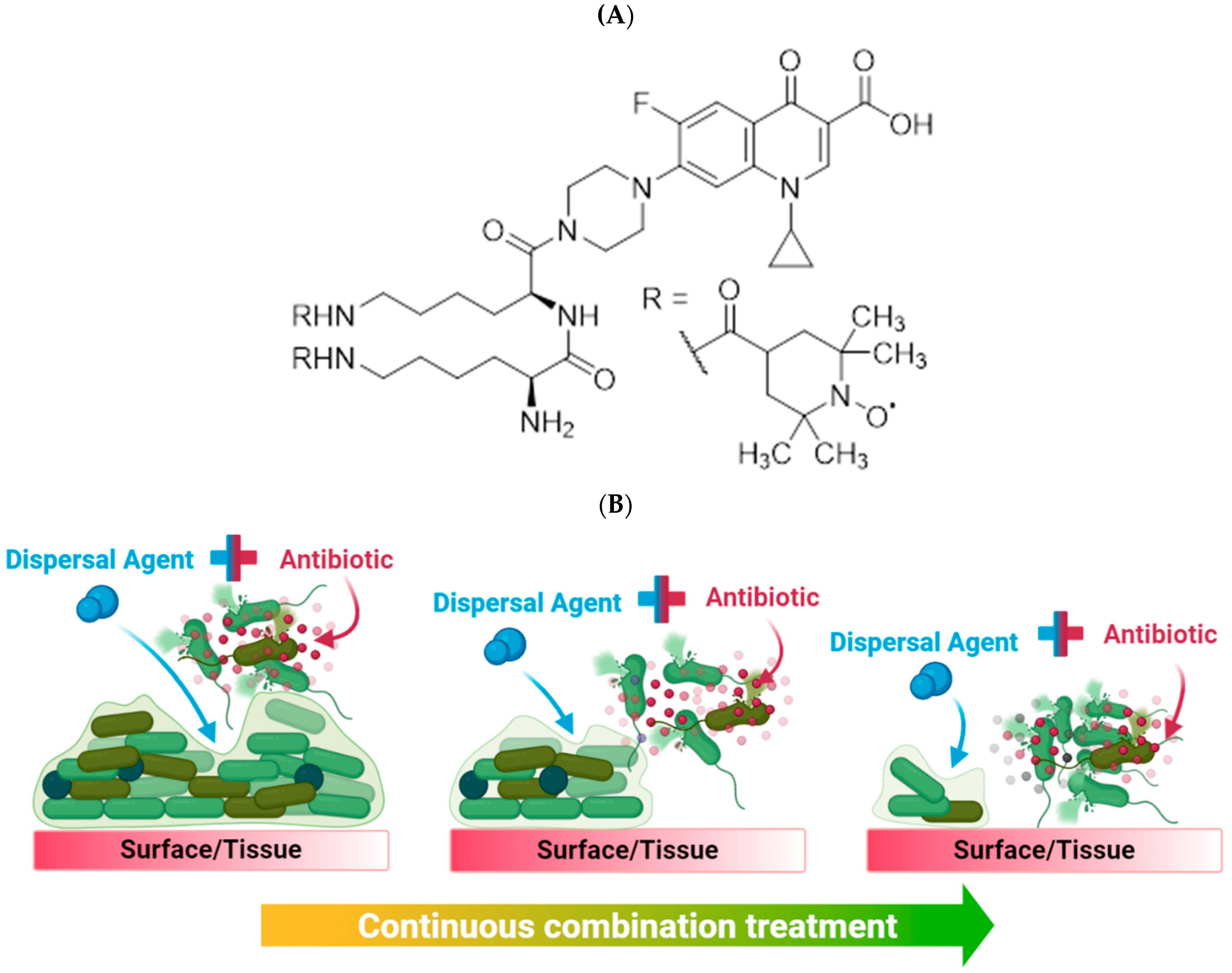 Antibiotics 12 01479 g001