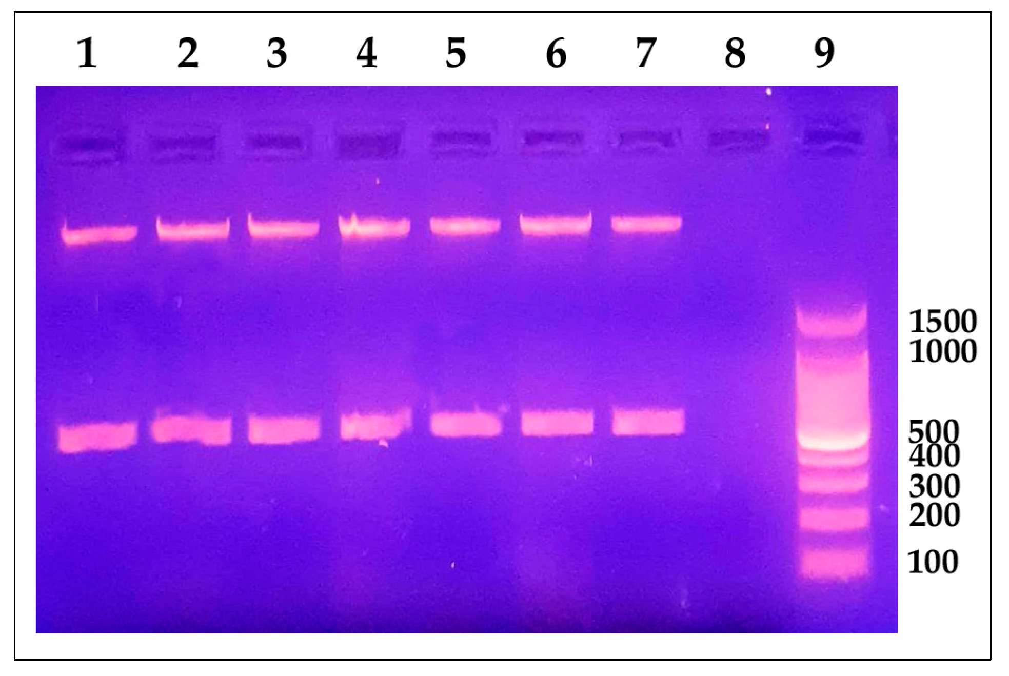 Antibiotics 12 01484 g002 Antibiotics 12 01484 g002