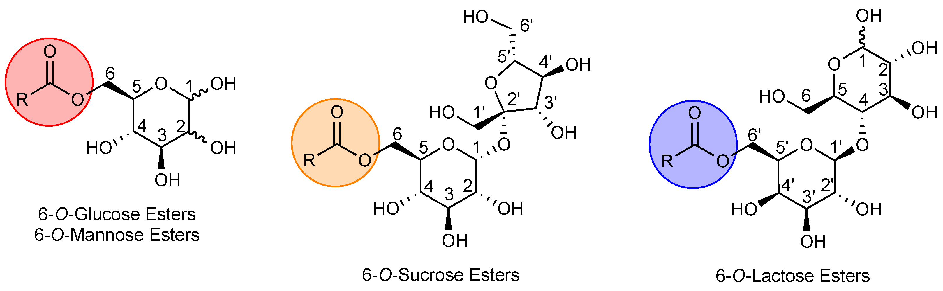 Antibiotics 12 01500 g001