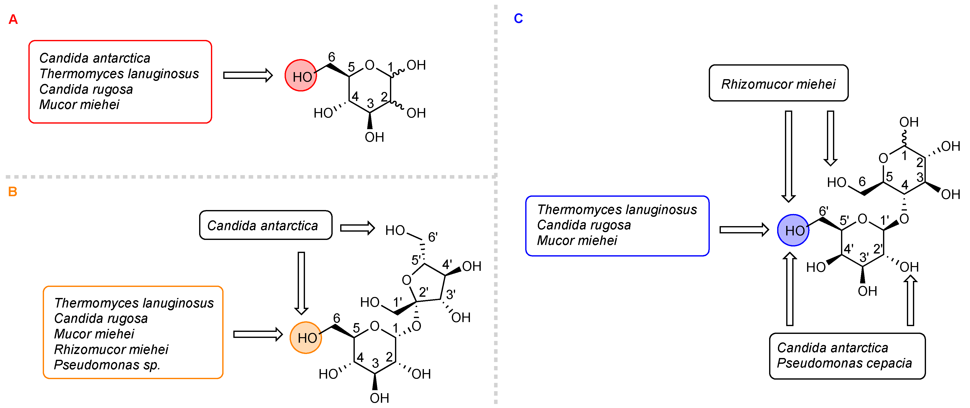 Antibiotics 12 01500 g002