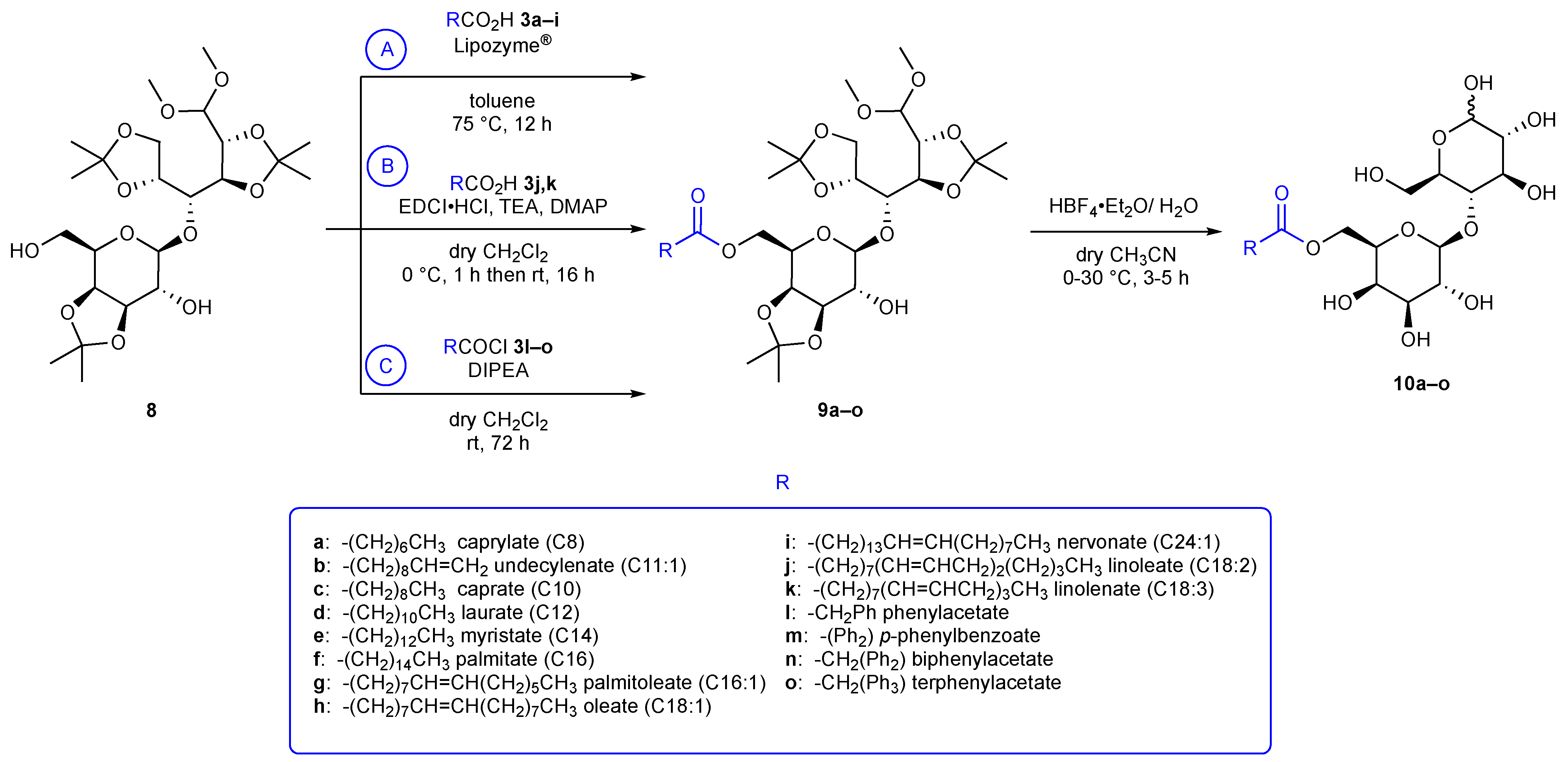 Antibiotics 12 01500 sch003