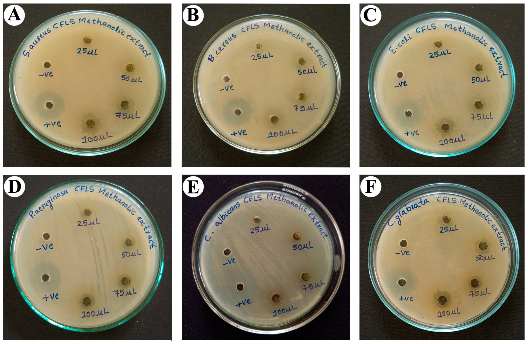 Antibiotics 12 01506 g005