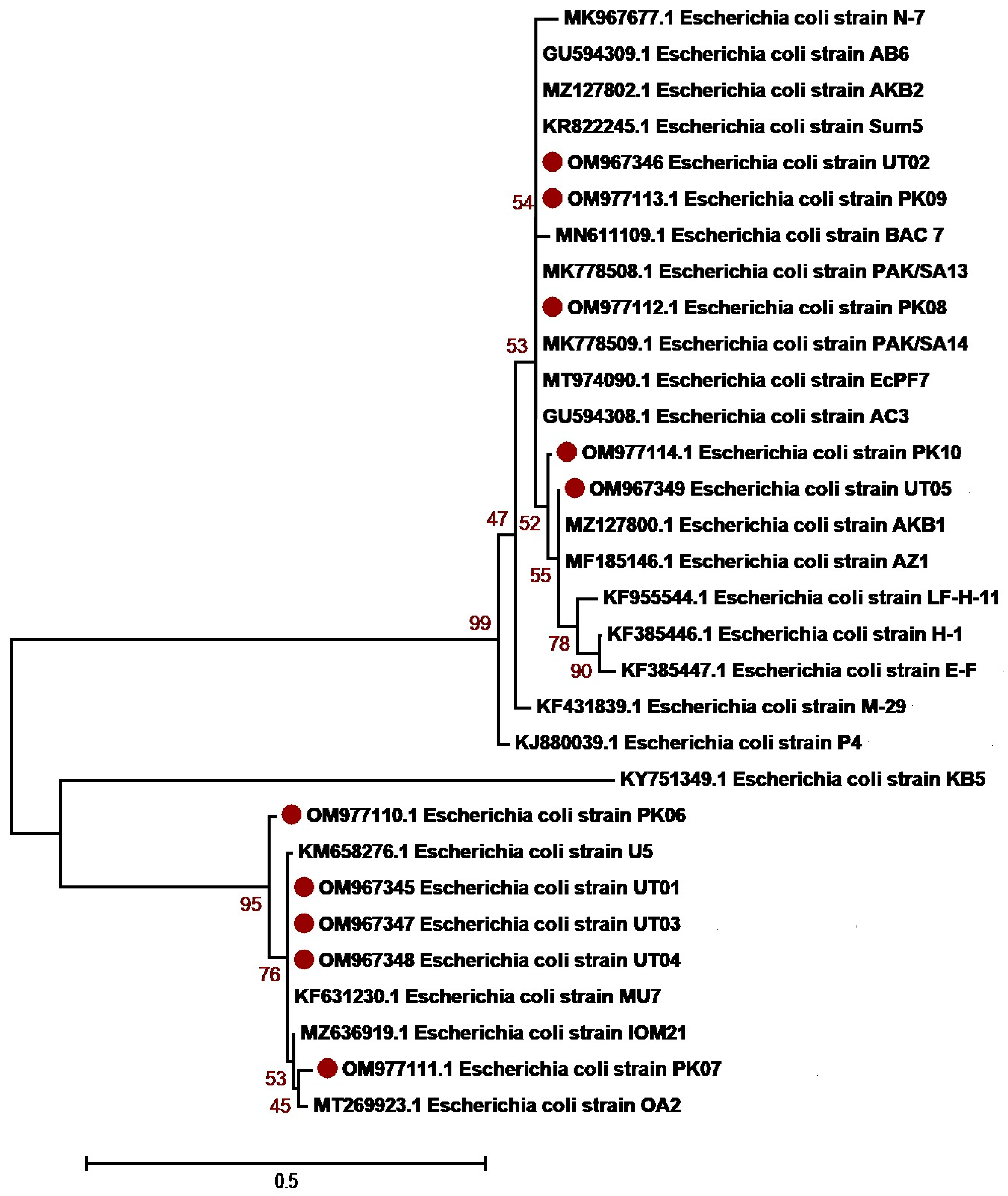 Antibiotics 12 01508 g003