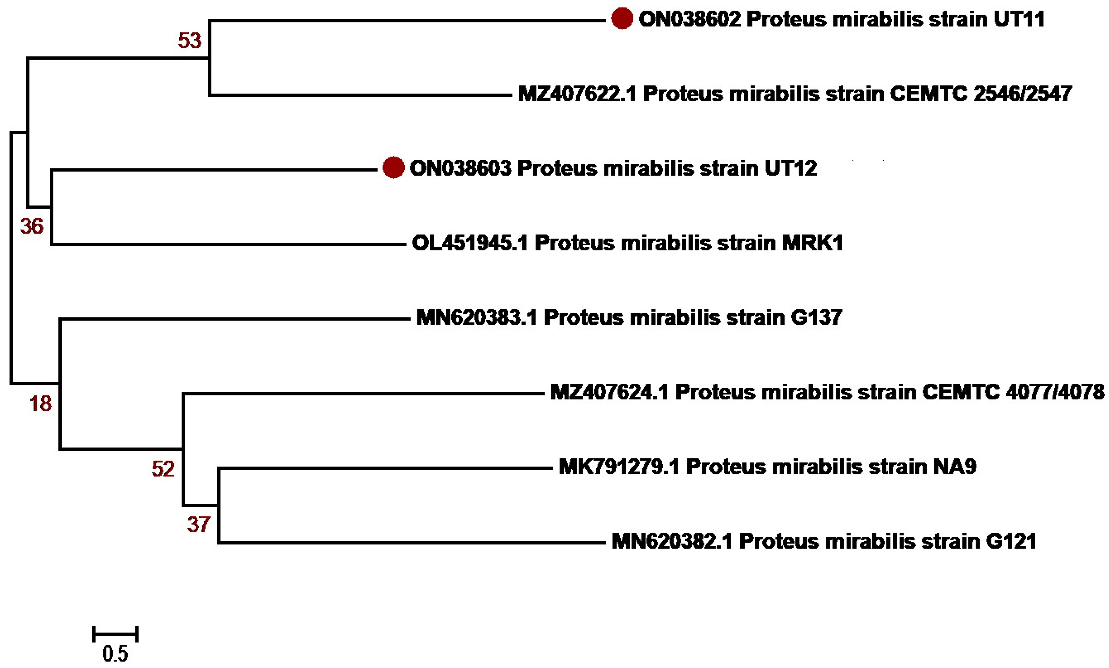 Antibiotics 12 01508 g006
