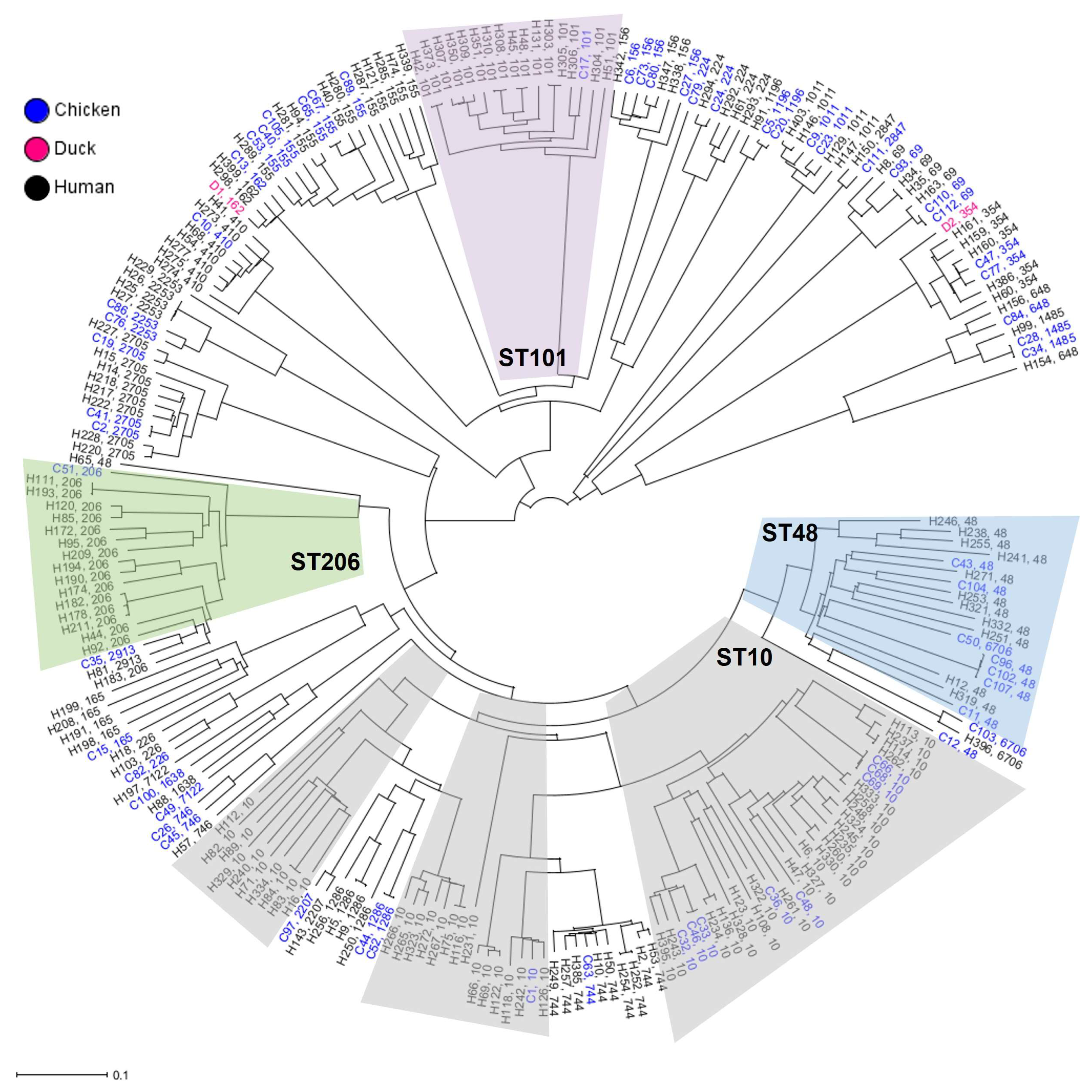 Antibiotics 12 01519 g002