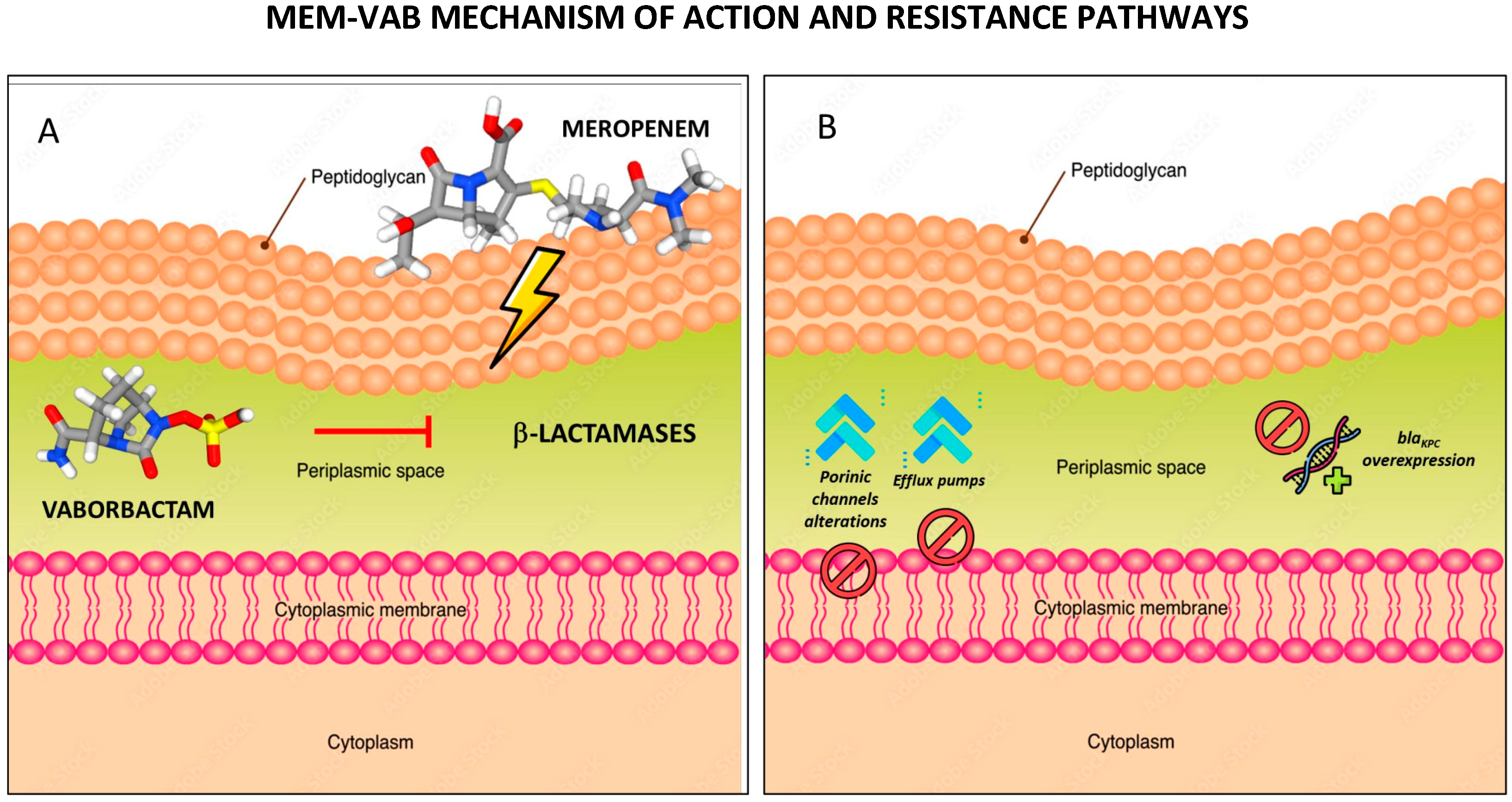 Antibiotics 12 01521 g004