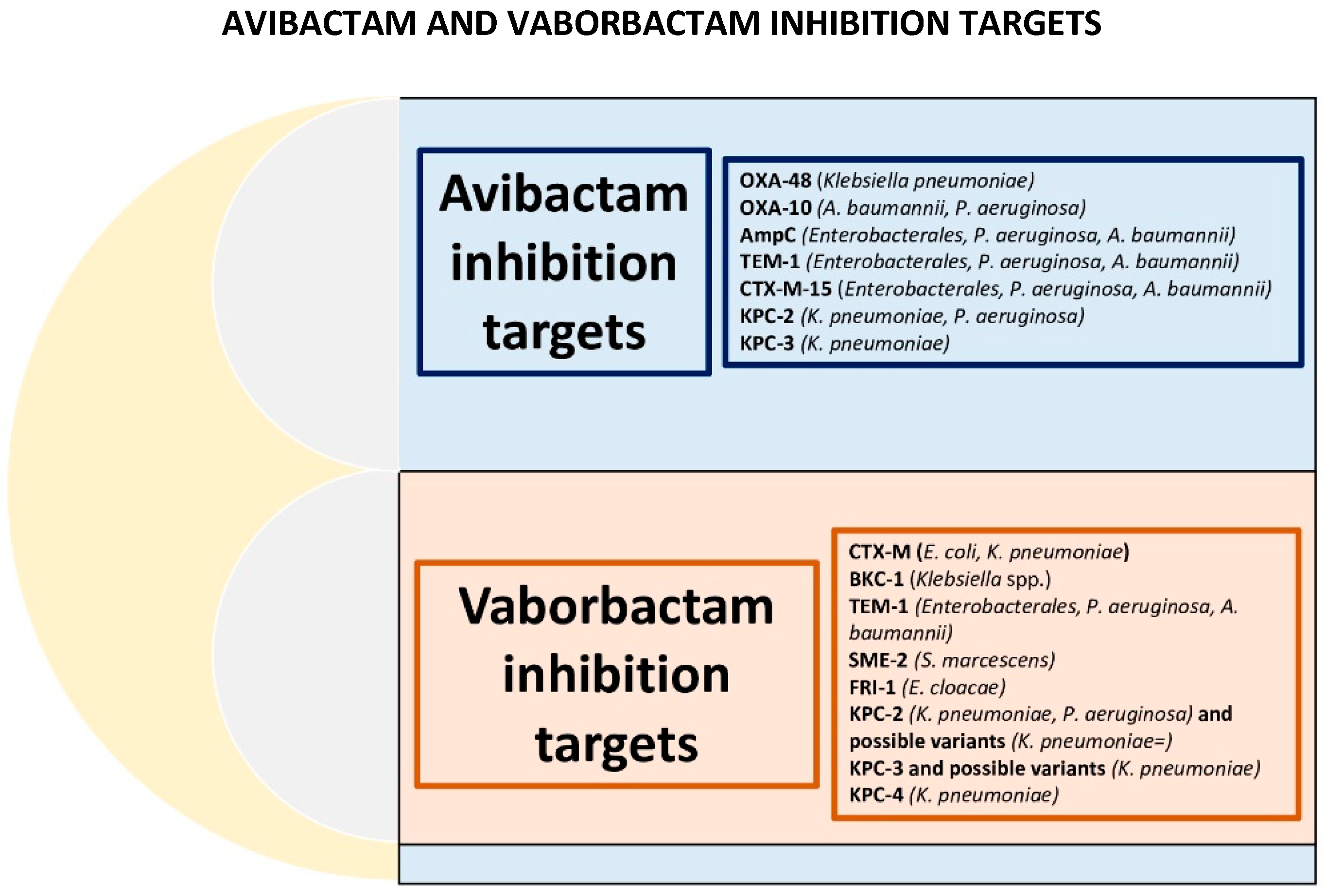 Antibiotics 12 01521 g005