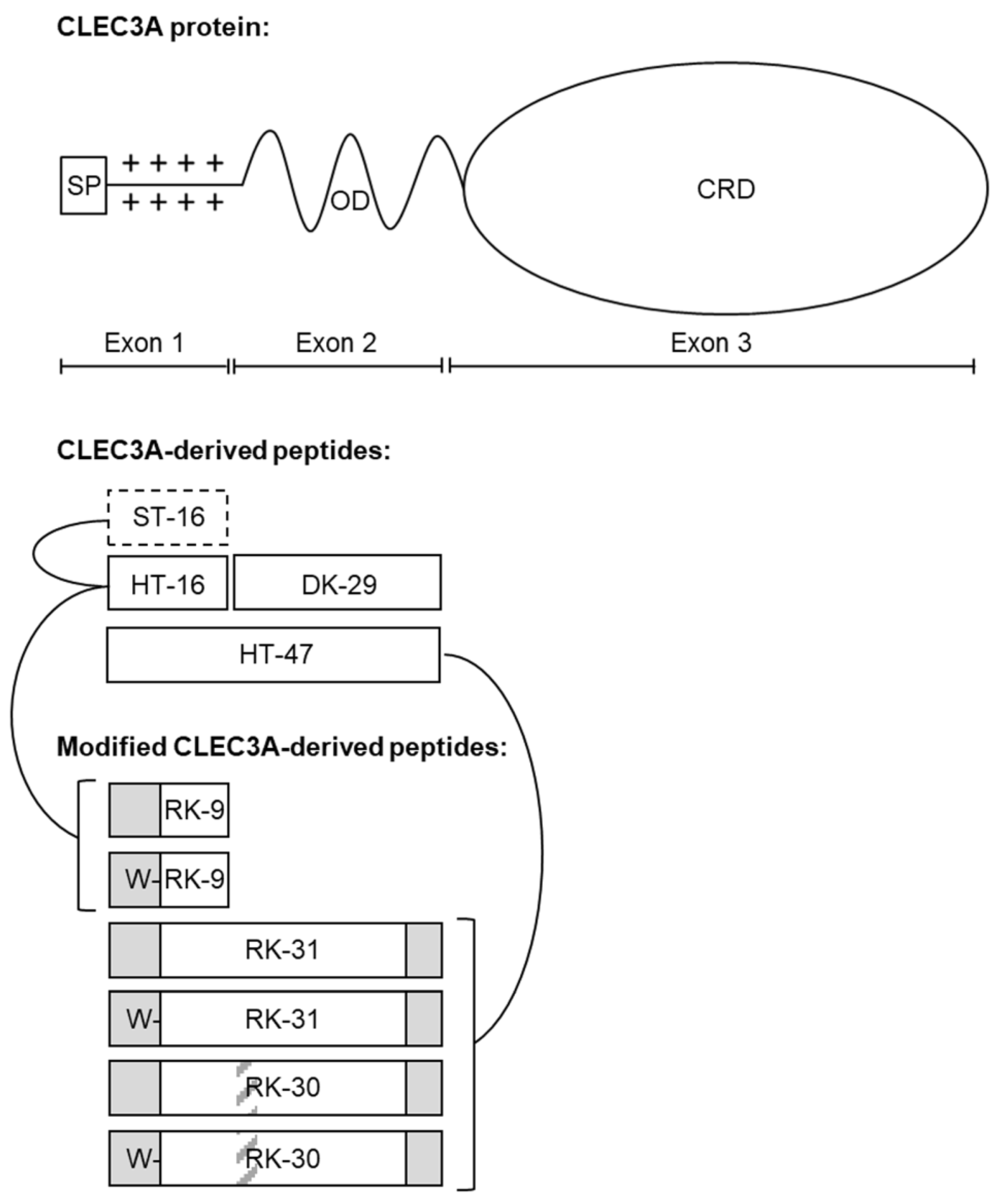 Antibiotics 12 01532 g001