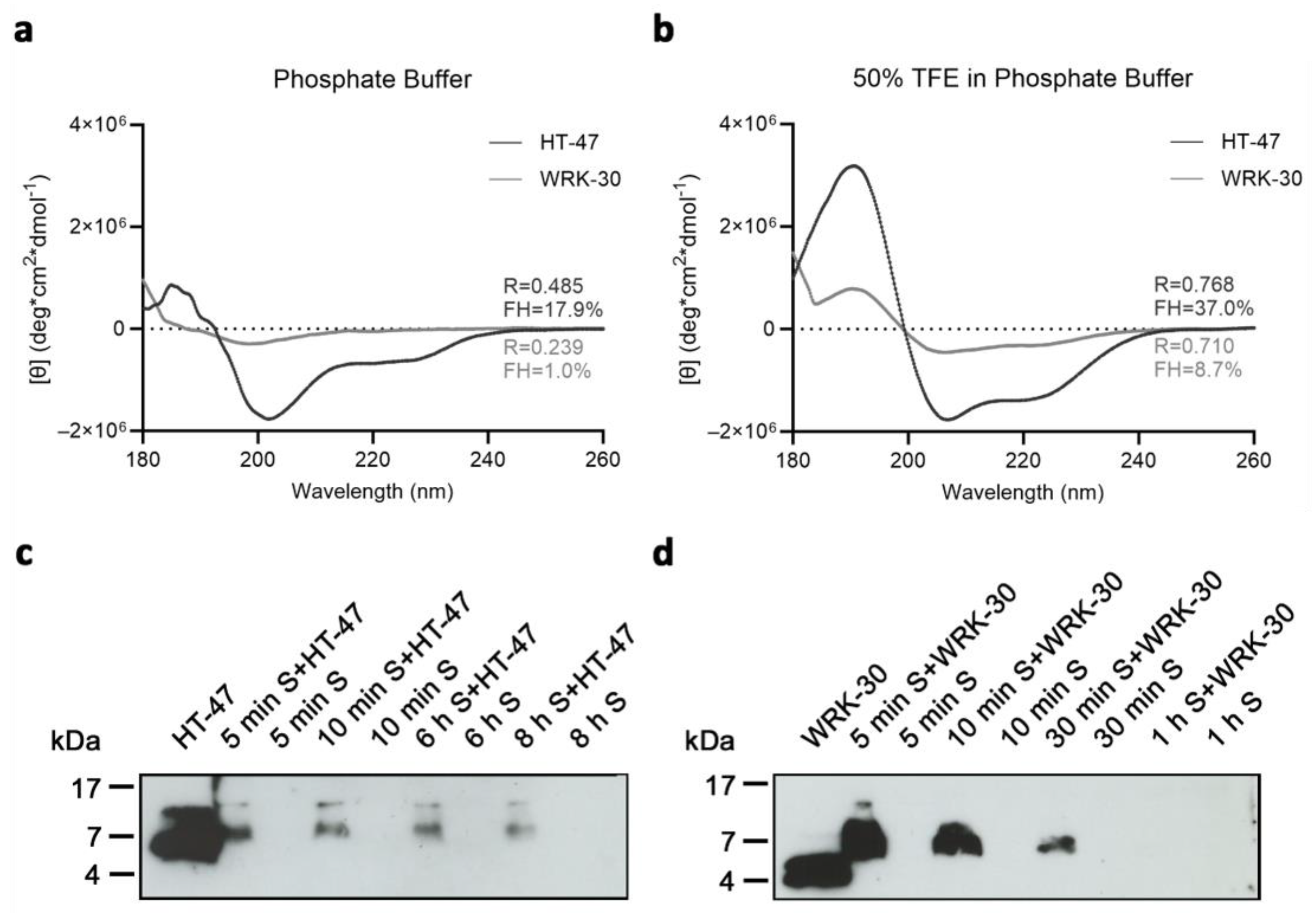 Antibiotics 12 01532 g006
