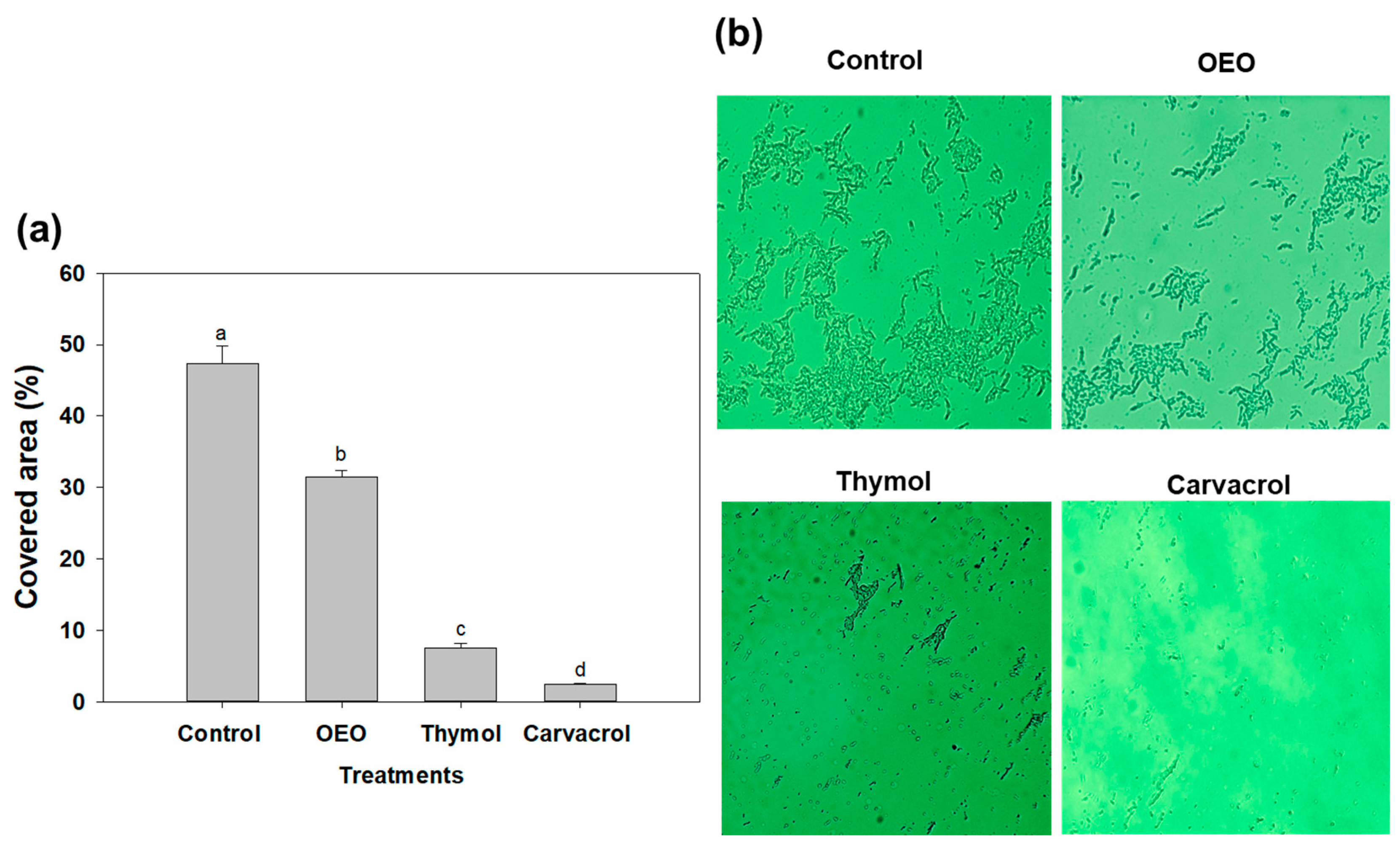 Antibiotics 12 01539 g003