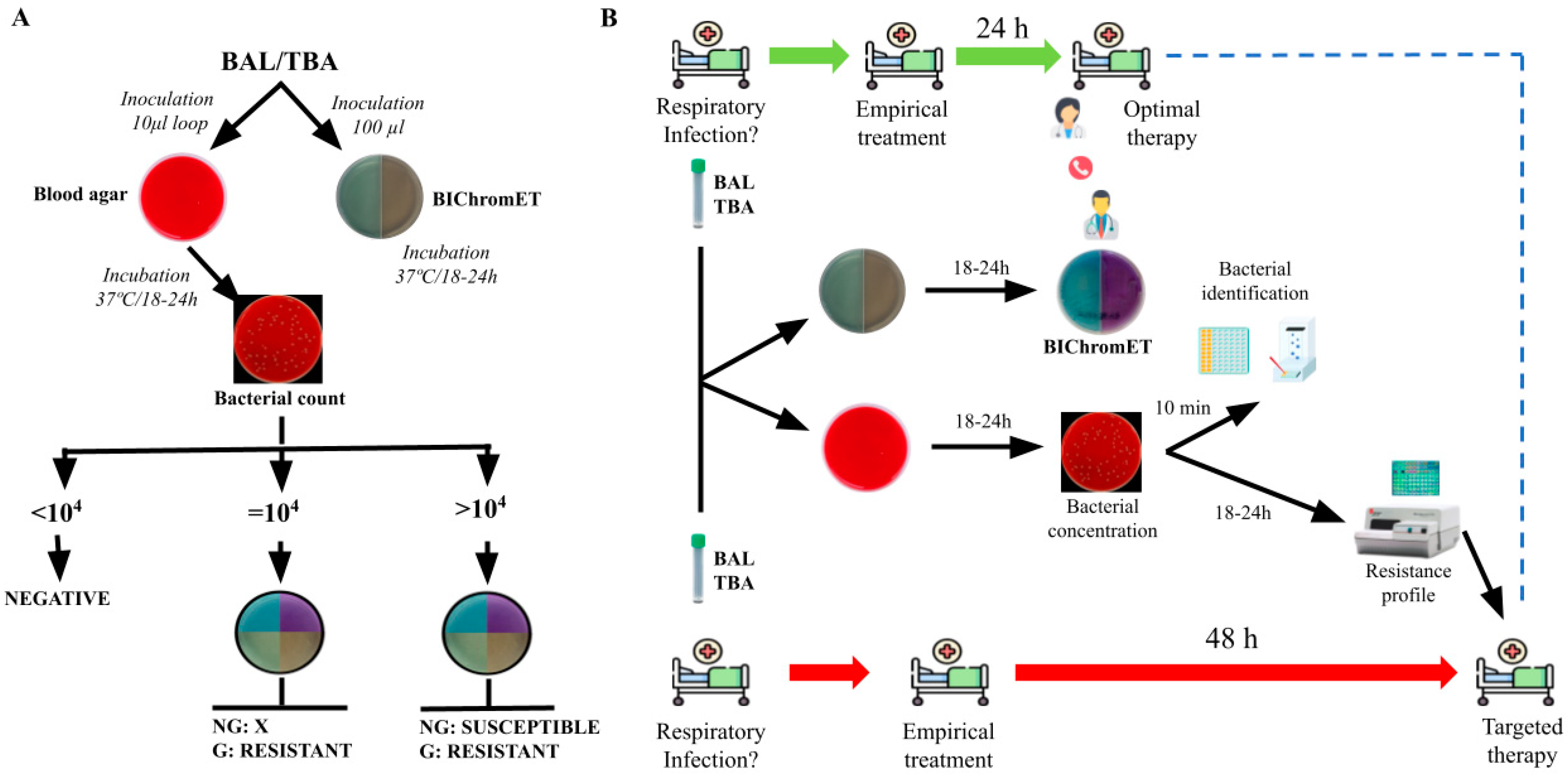 Antibiotics 12 01573 g001