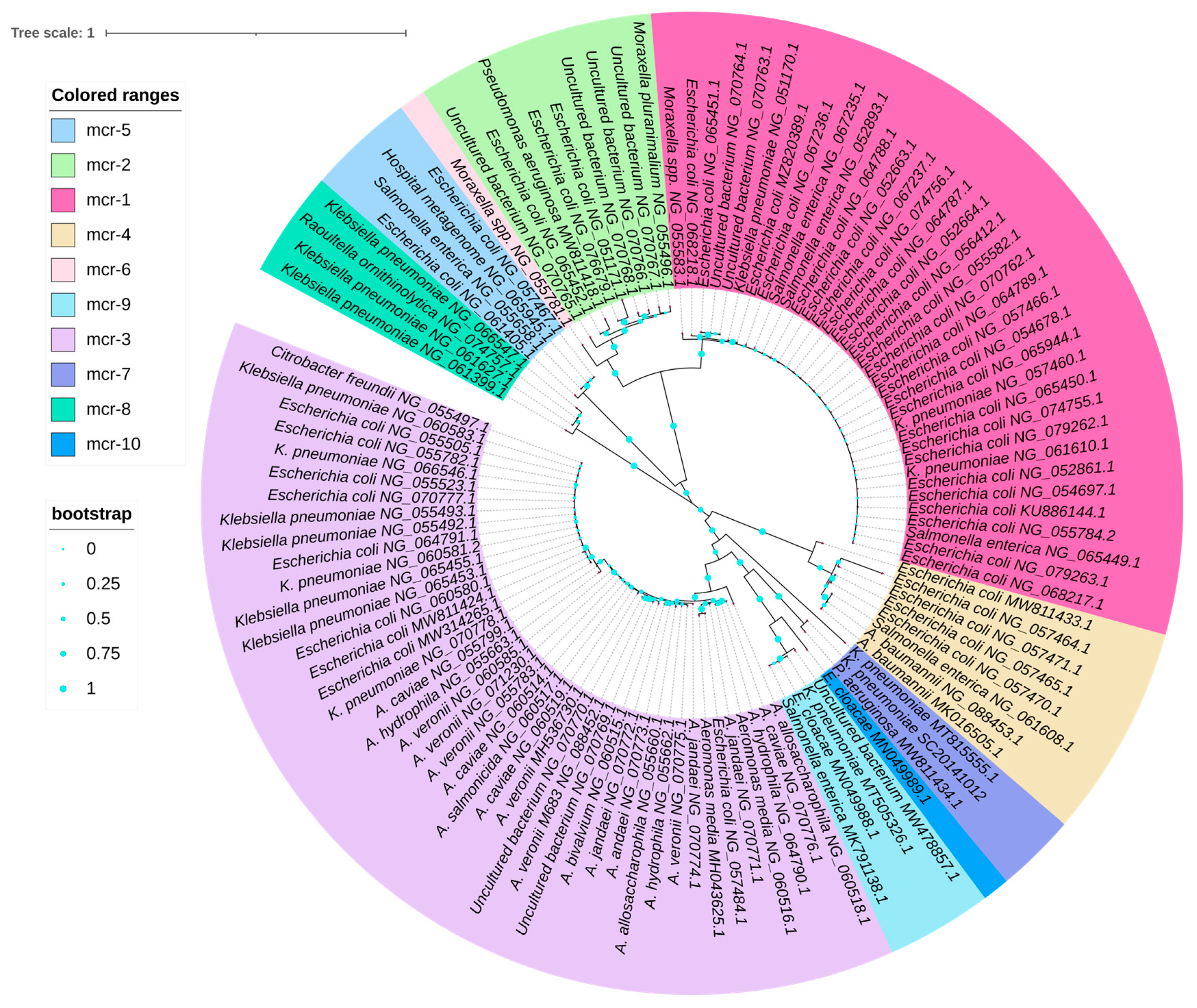 Antibiotics 12 01597 g004