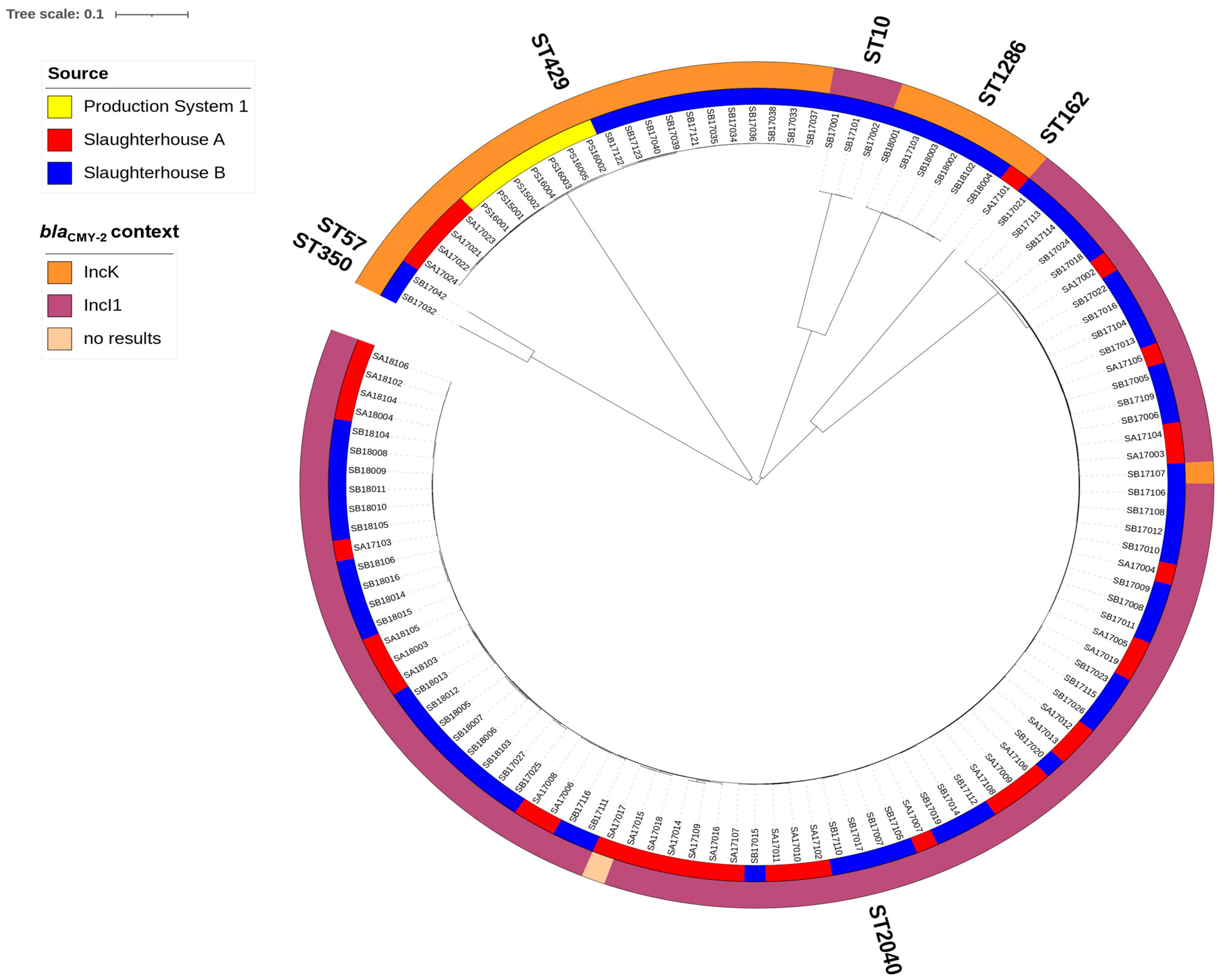 Antibiotics 12 01602 g002