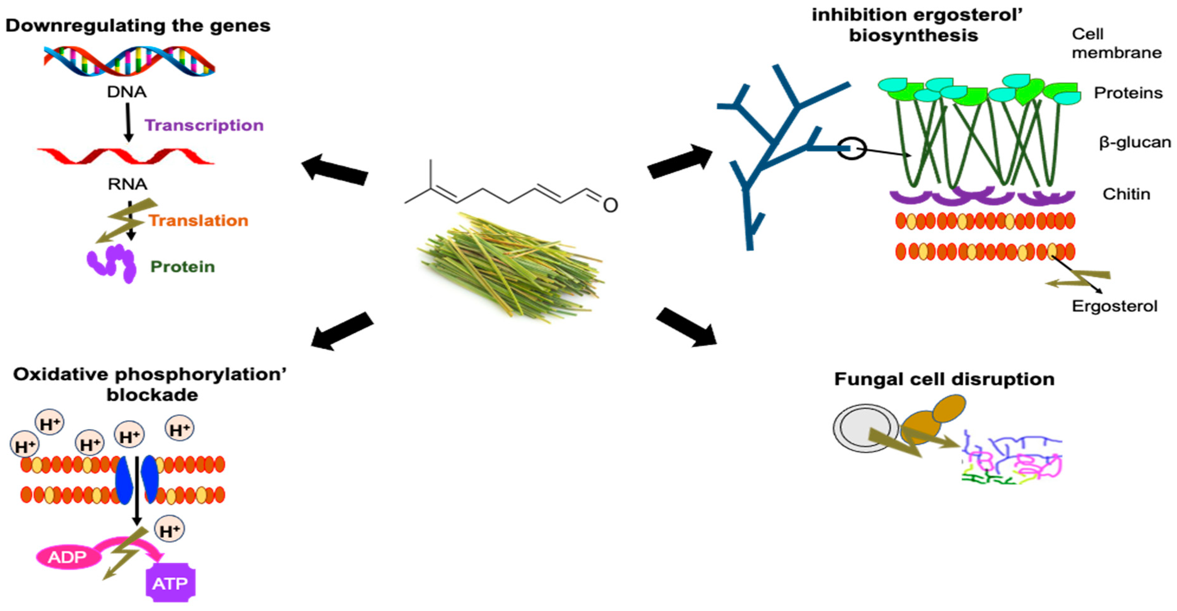 Antibiotics 12 01608 g003