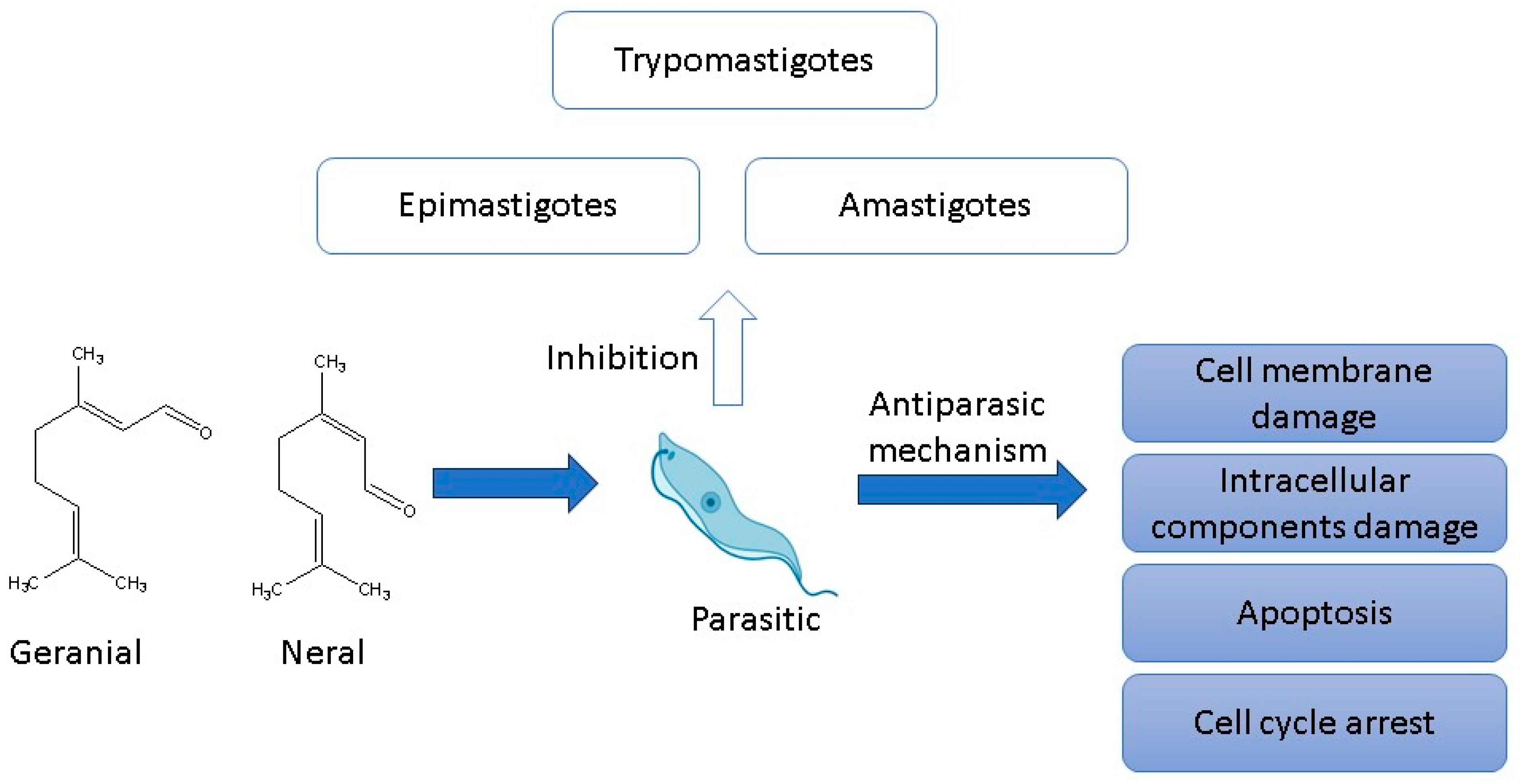 Antibiotics 12 01608 g005